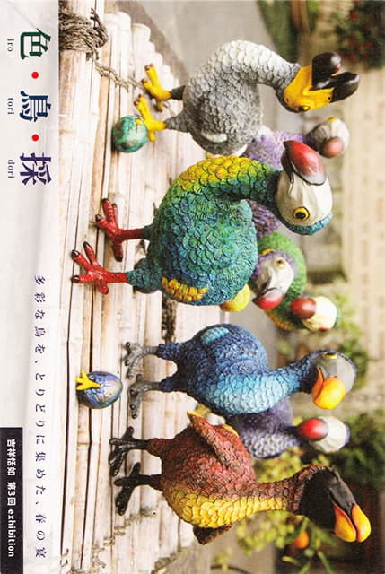 色・鳥・採