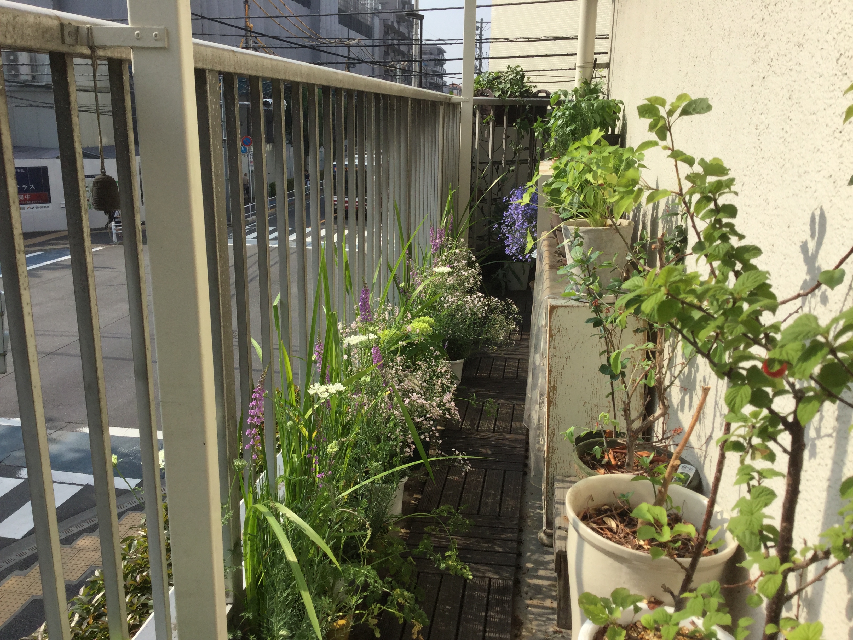 c6e2db9f-3f39-4bf1-8efb-9e3e826f5d84