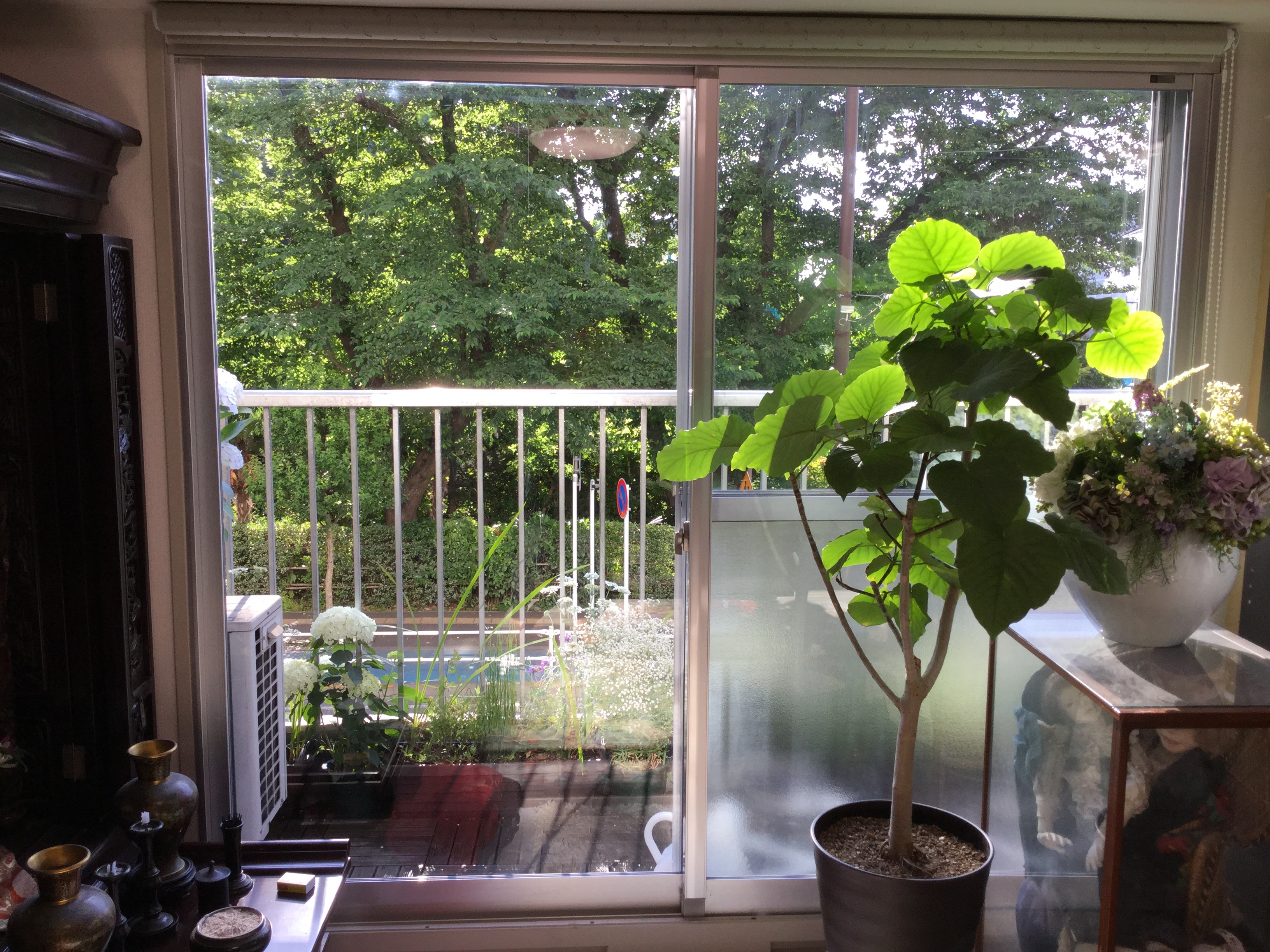 11e59964-738b-4dad-b6fe-021477bd1c2d