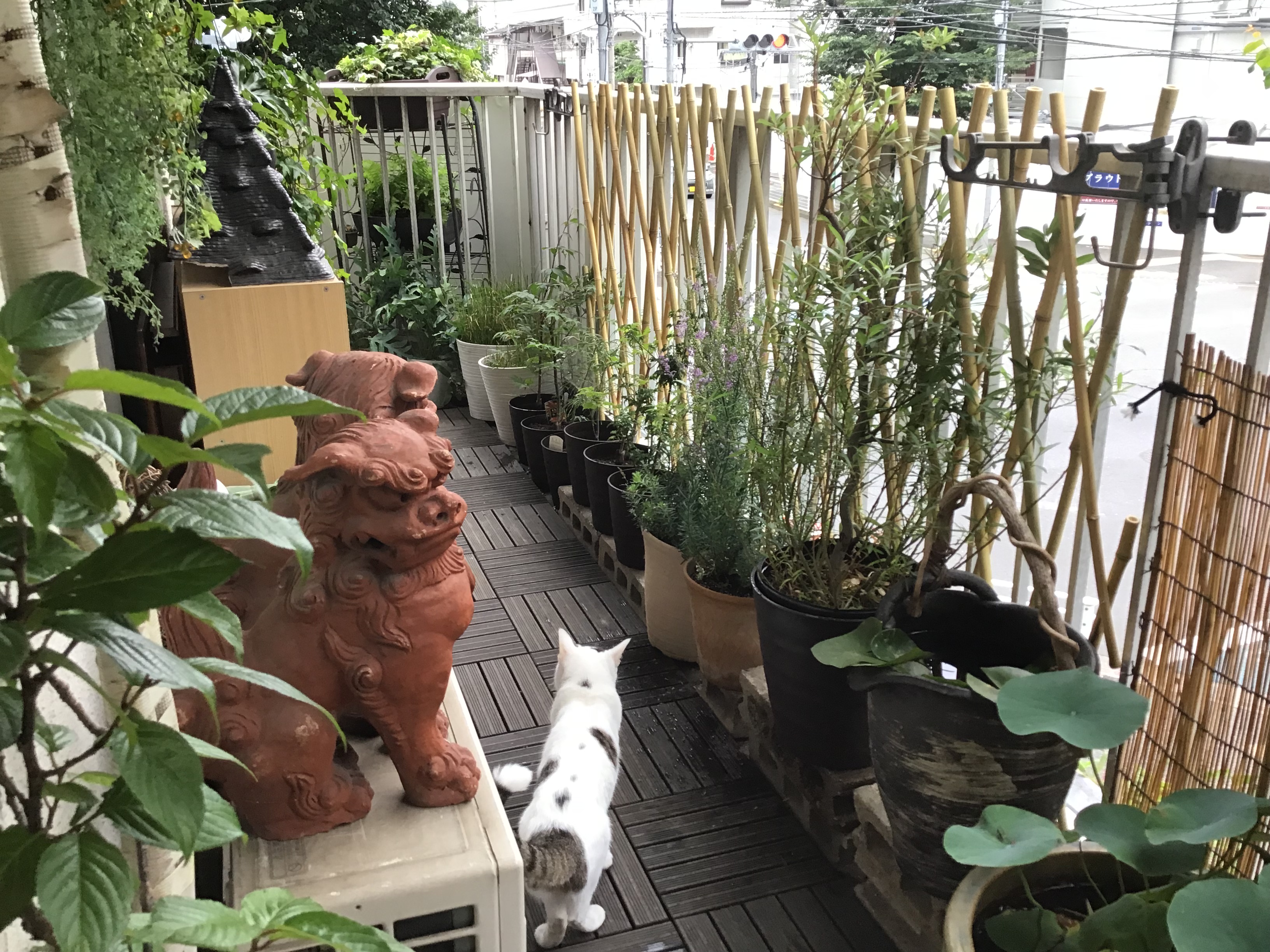 40cf7d4d-e868-423c-a72c-c40c628a36b4