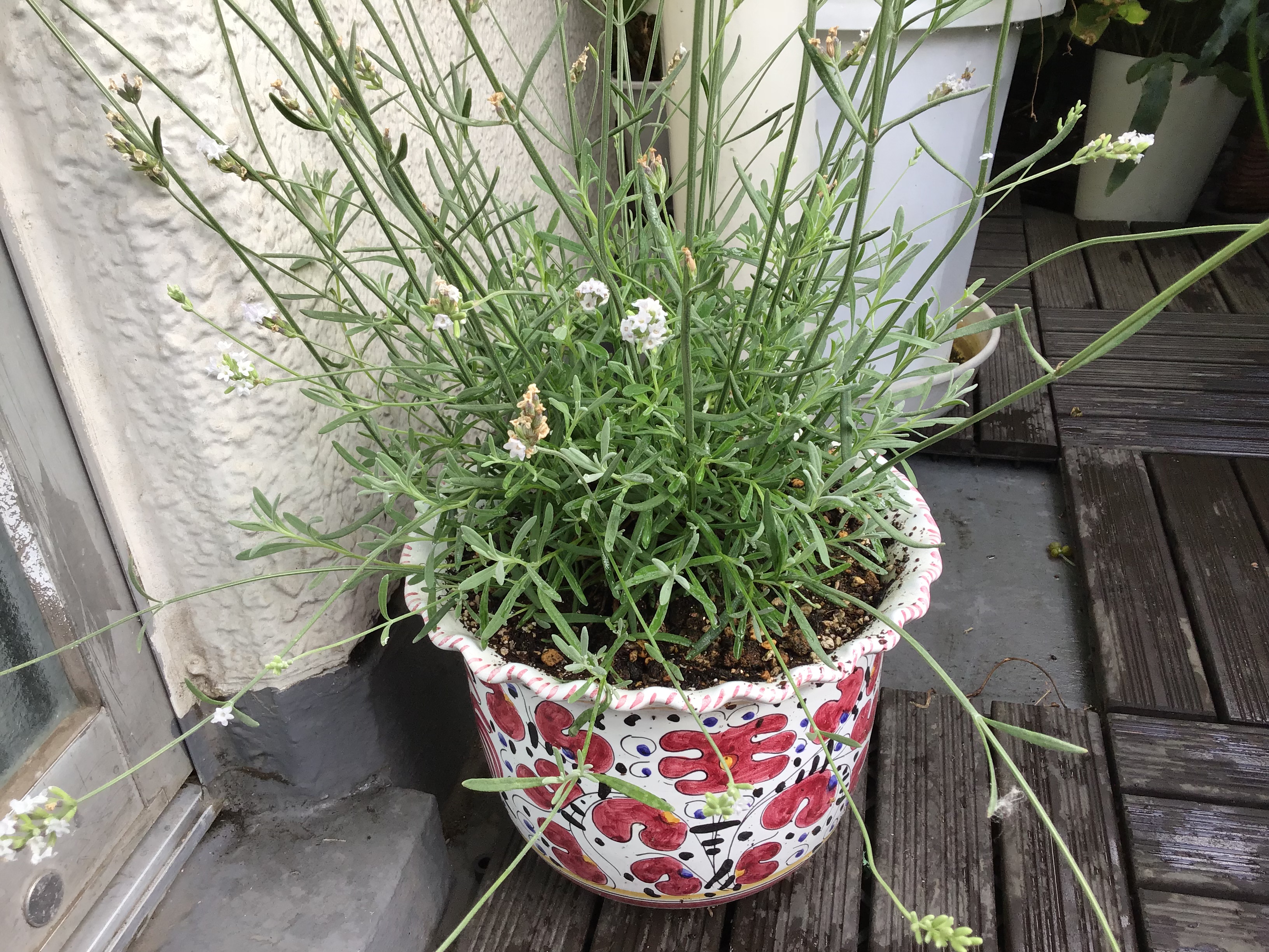 6f659578-cc21-4442-bbd3-62fa3e08f76f