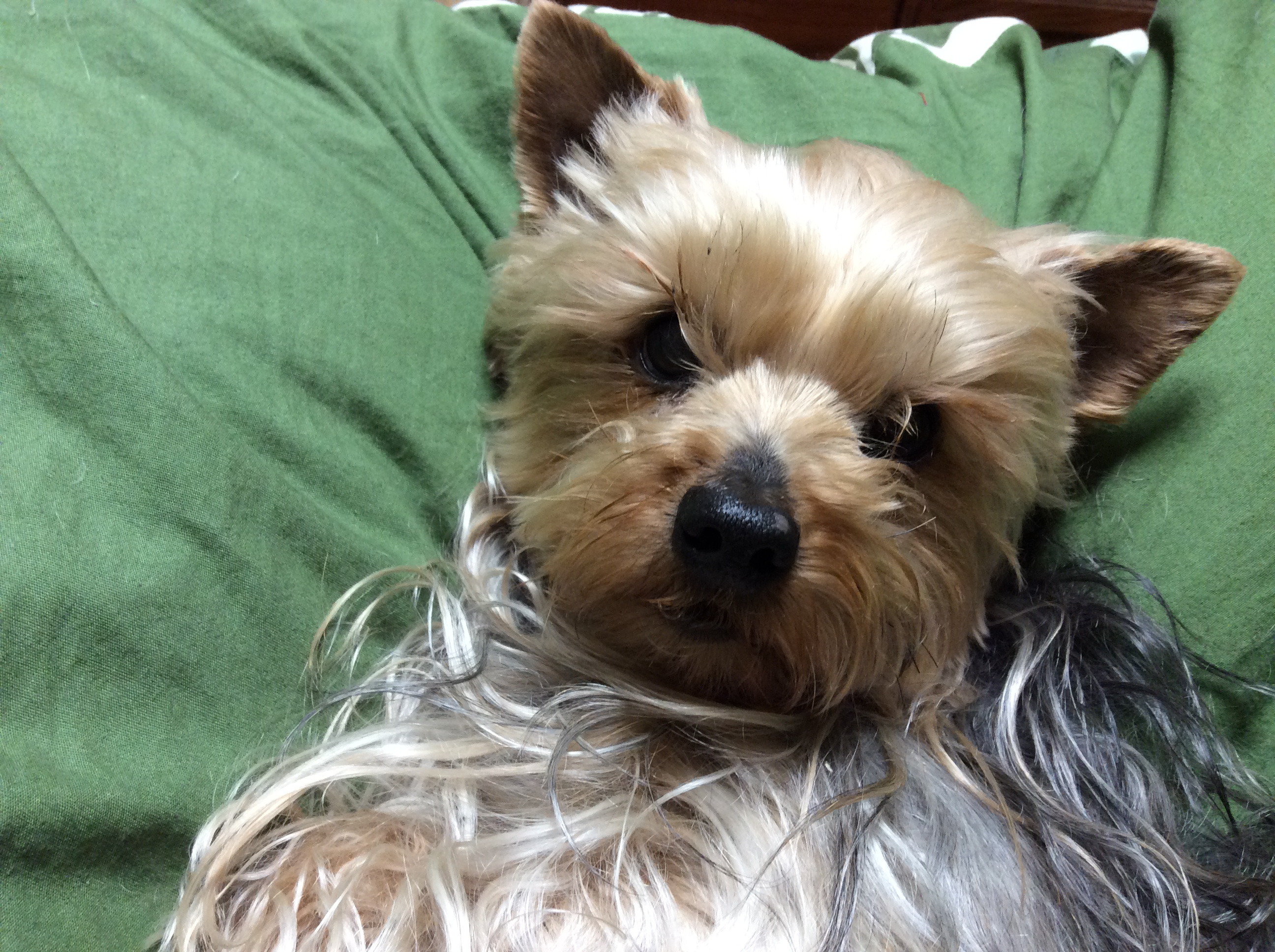 430f8fa4-e603-4418-a77f-7c7e9d3cd9d2