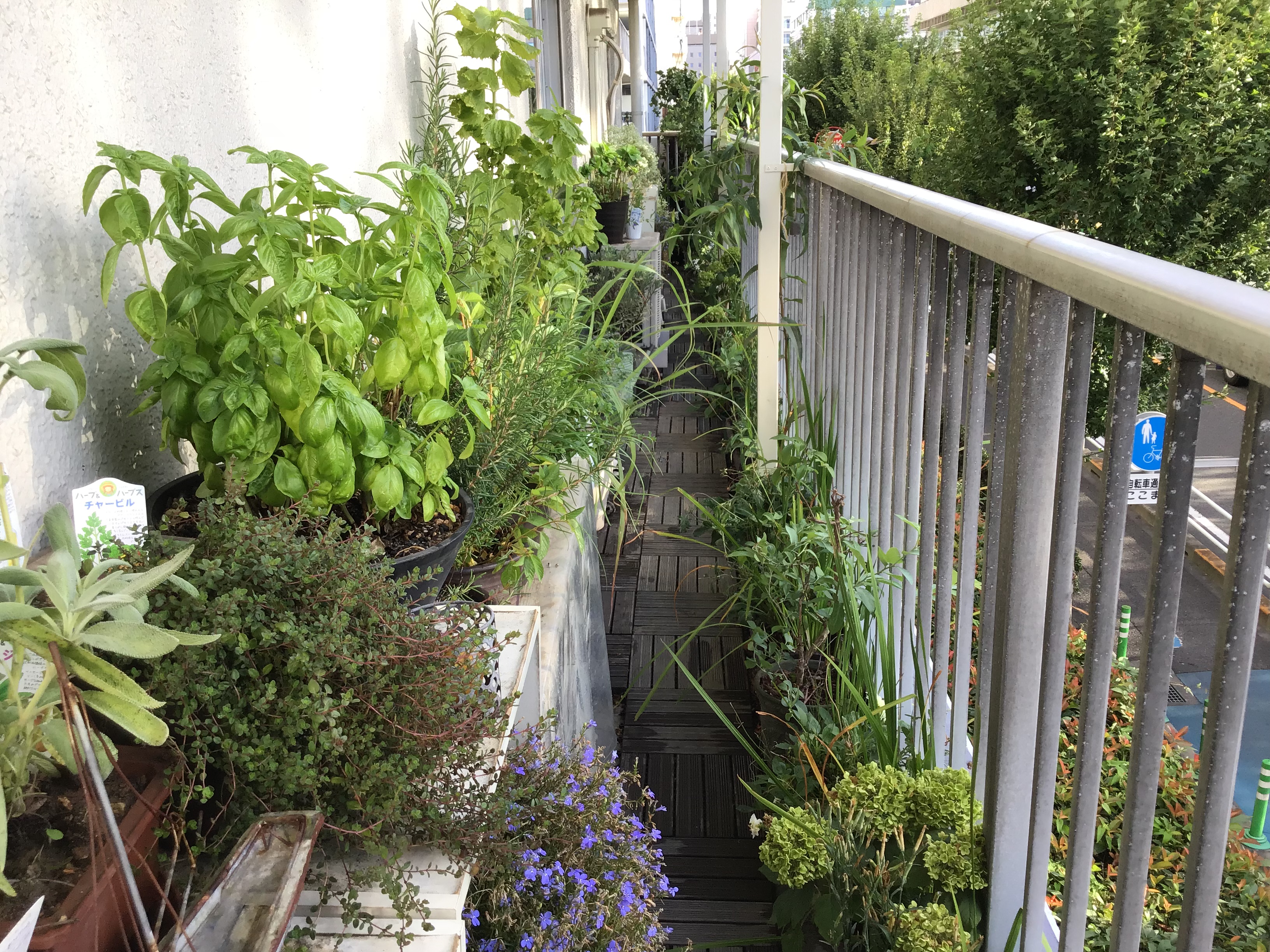 bf9966d2-57c8-4ff1-a899-e83b6b74fcad