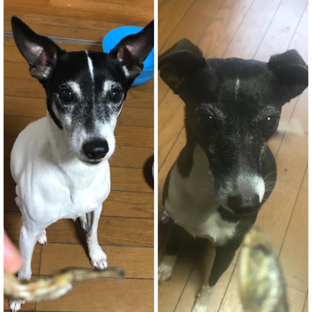 e28a217e-bfc4-41f6-a4f3-d153617f319f