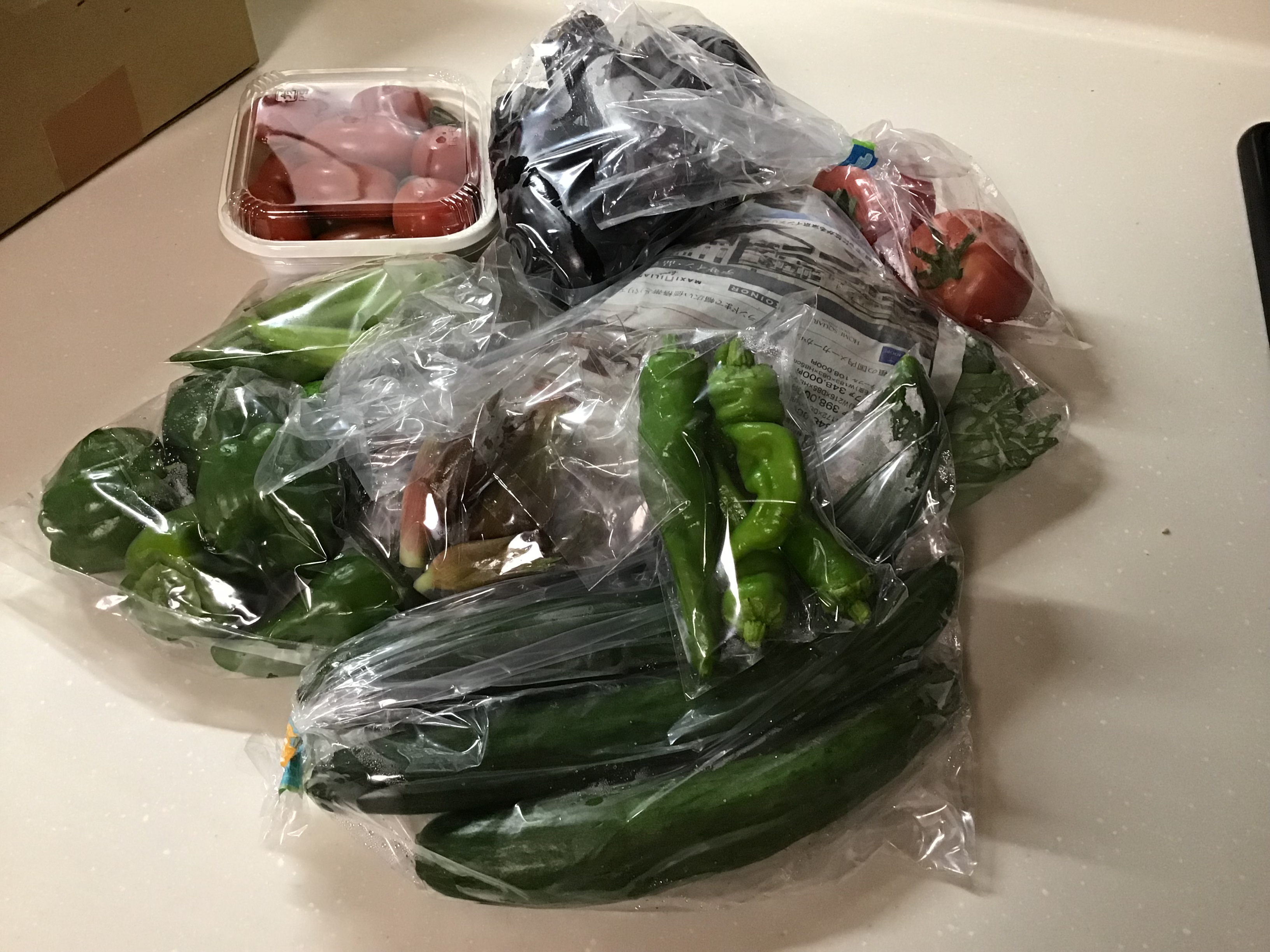 f2711a34-b55b-4779-b522-d665d28fcca6