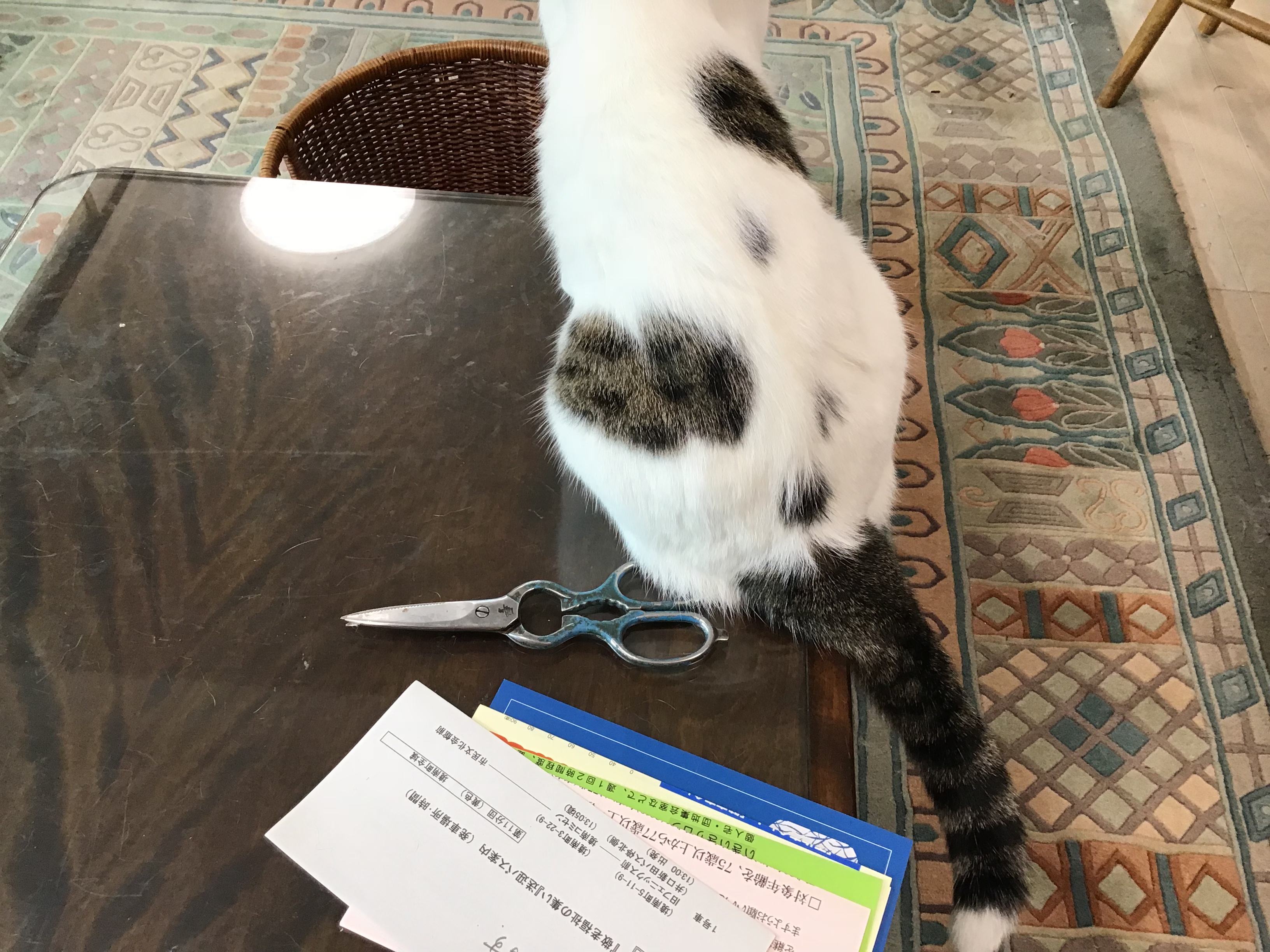 d90b50bf-d8e0-4062-8a99-ee4bda3e5374