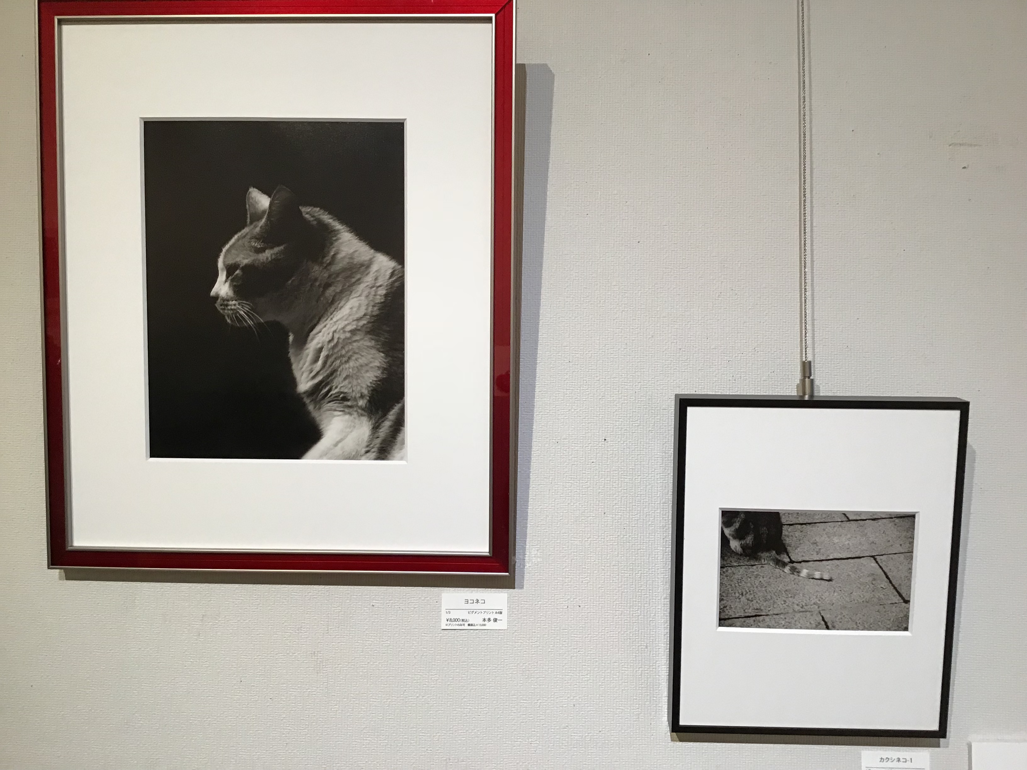 963b63ed-7144-449f-84b6-cf7cd4feb2c2