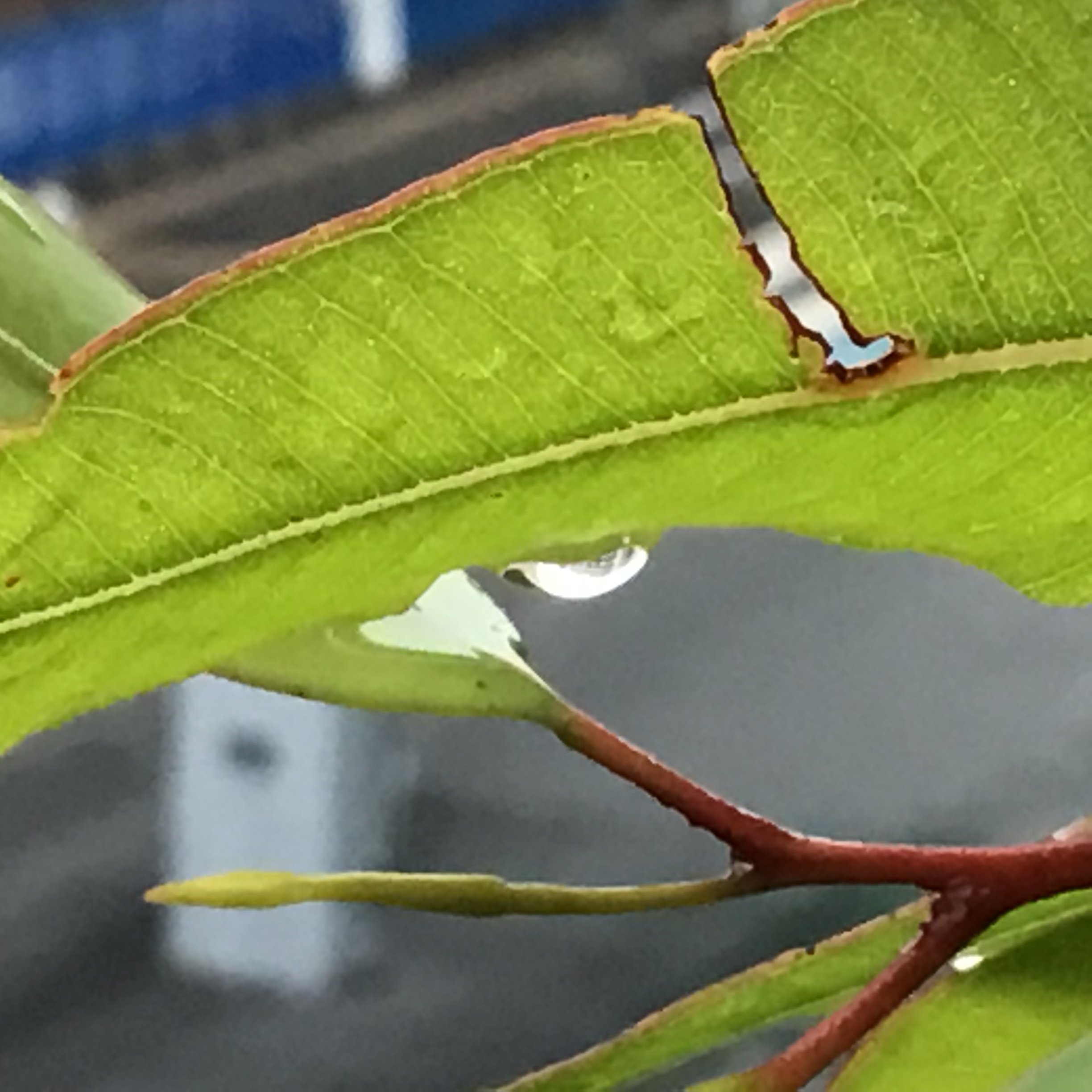 b7d4c8f3-01d3-4803-82fe-9be46b4e8b1d