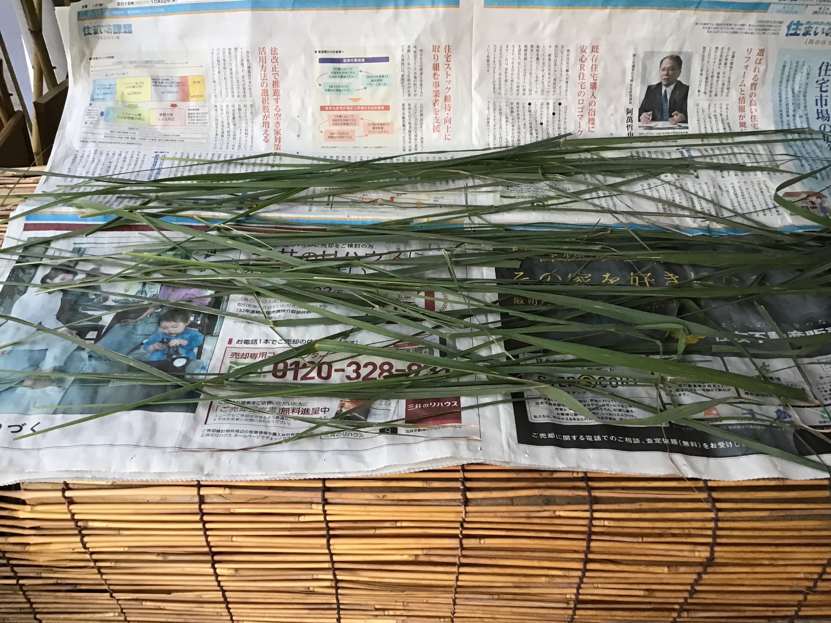 d44377d8-8b8e-4530-a380-67d7ea85f852