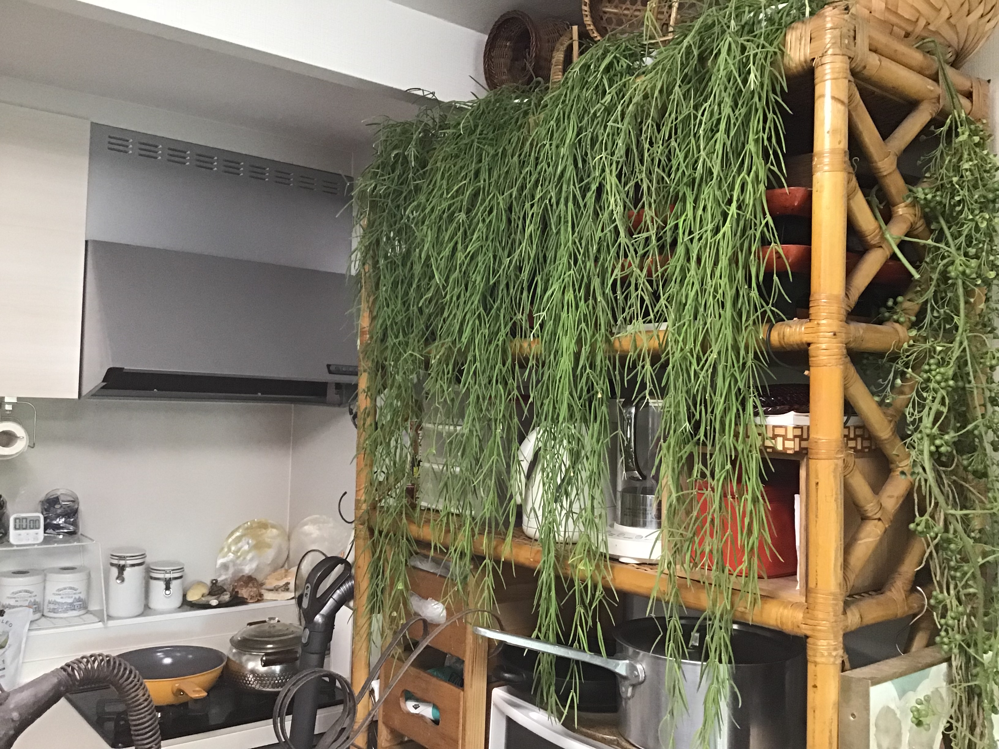 ec7f0103-38c7-47bb-9c3b-63a12bd9b923