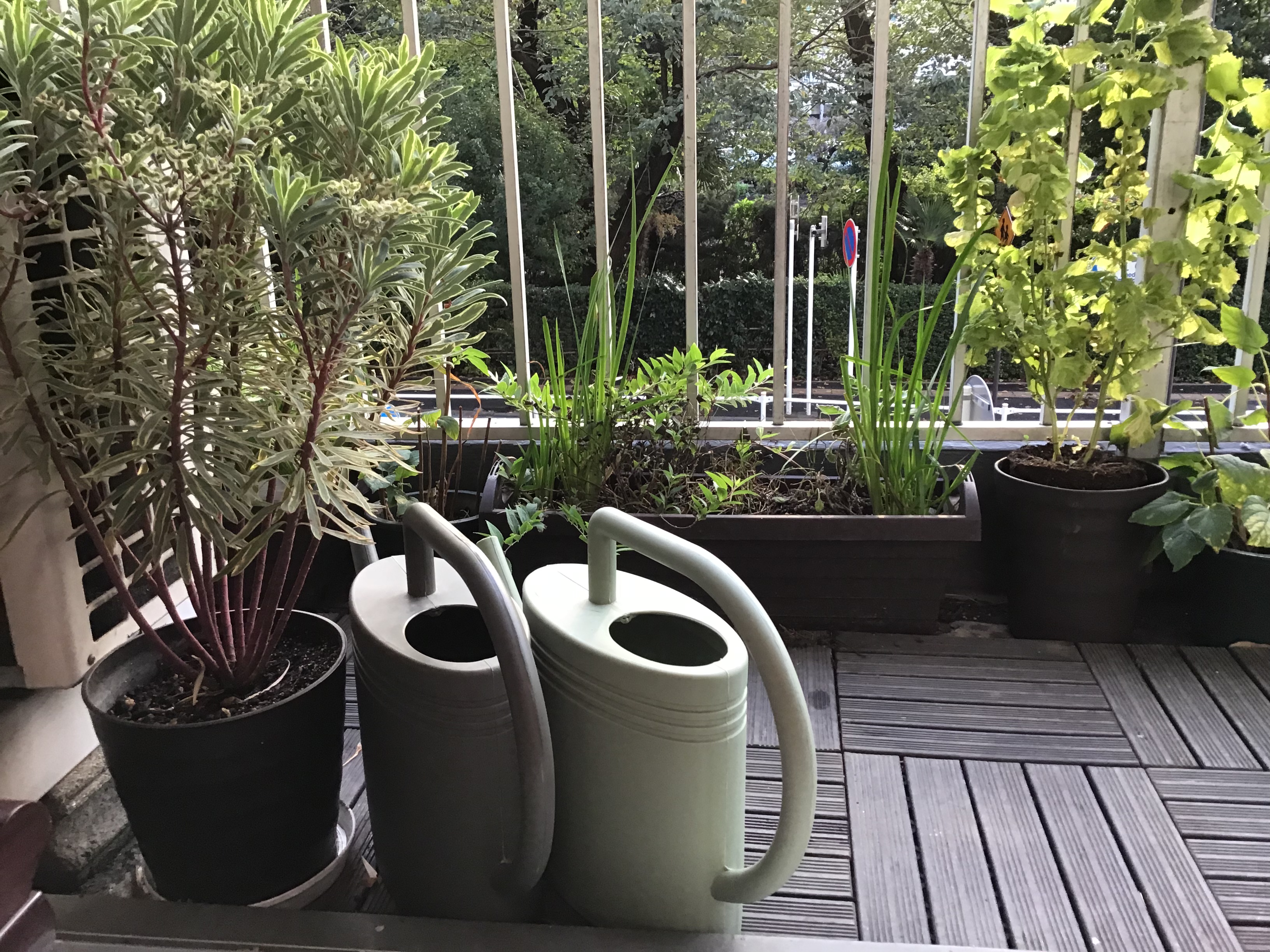 f00ddaa2-33aa-4e71-a807-b2841d9c005a