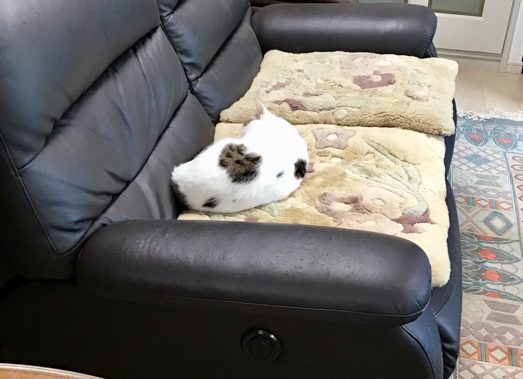 123433dd-6cb0-4392-8b3b-91e3ce5ffc38