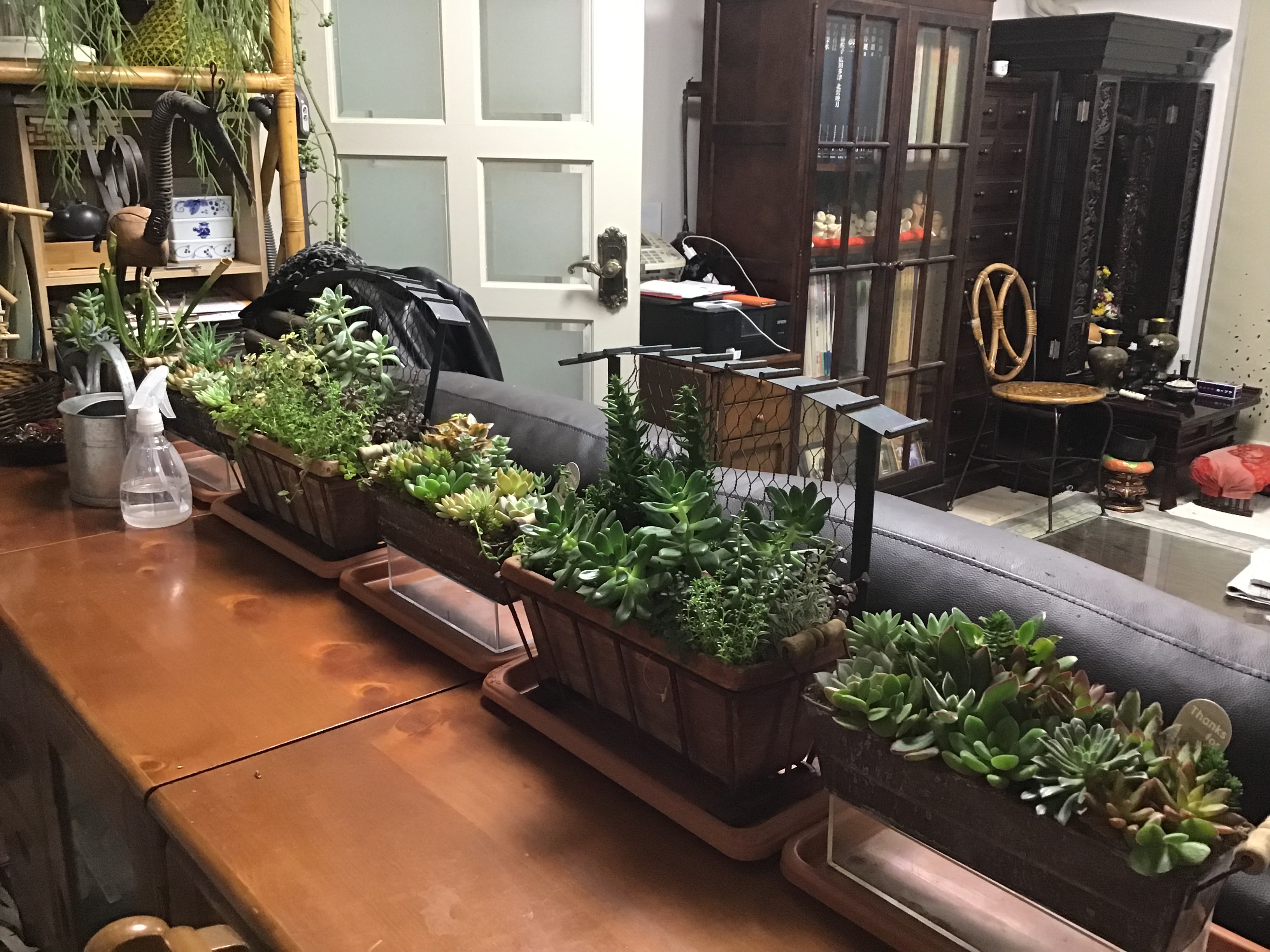 44203718-cbf7-4605-bf2d-f5bfd476bf22