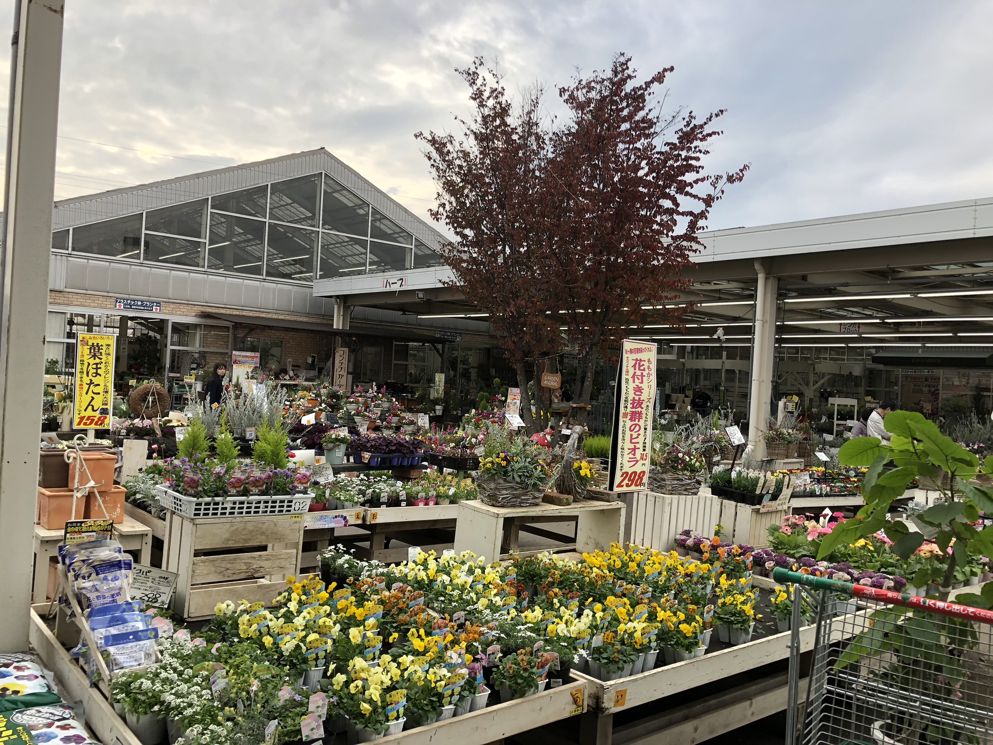 45c2647c-2814-44a1-b79f-e5cd564070cf