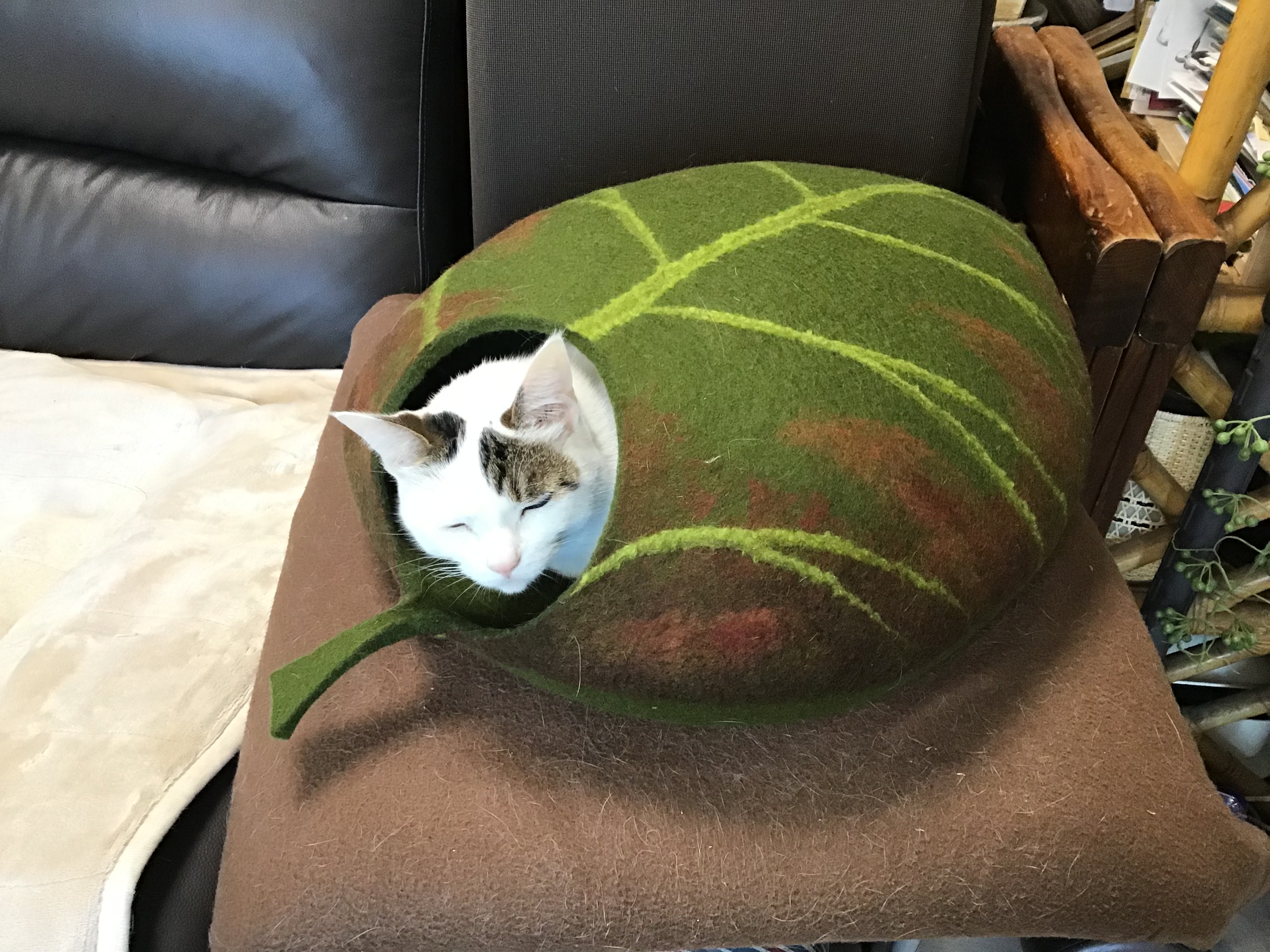 2e460d15-7dc4-40ef-9b03-d5f358a061ac