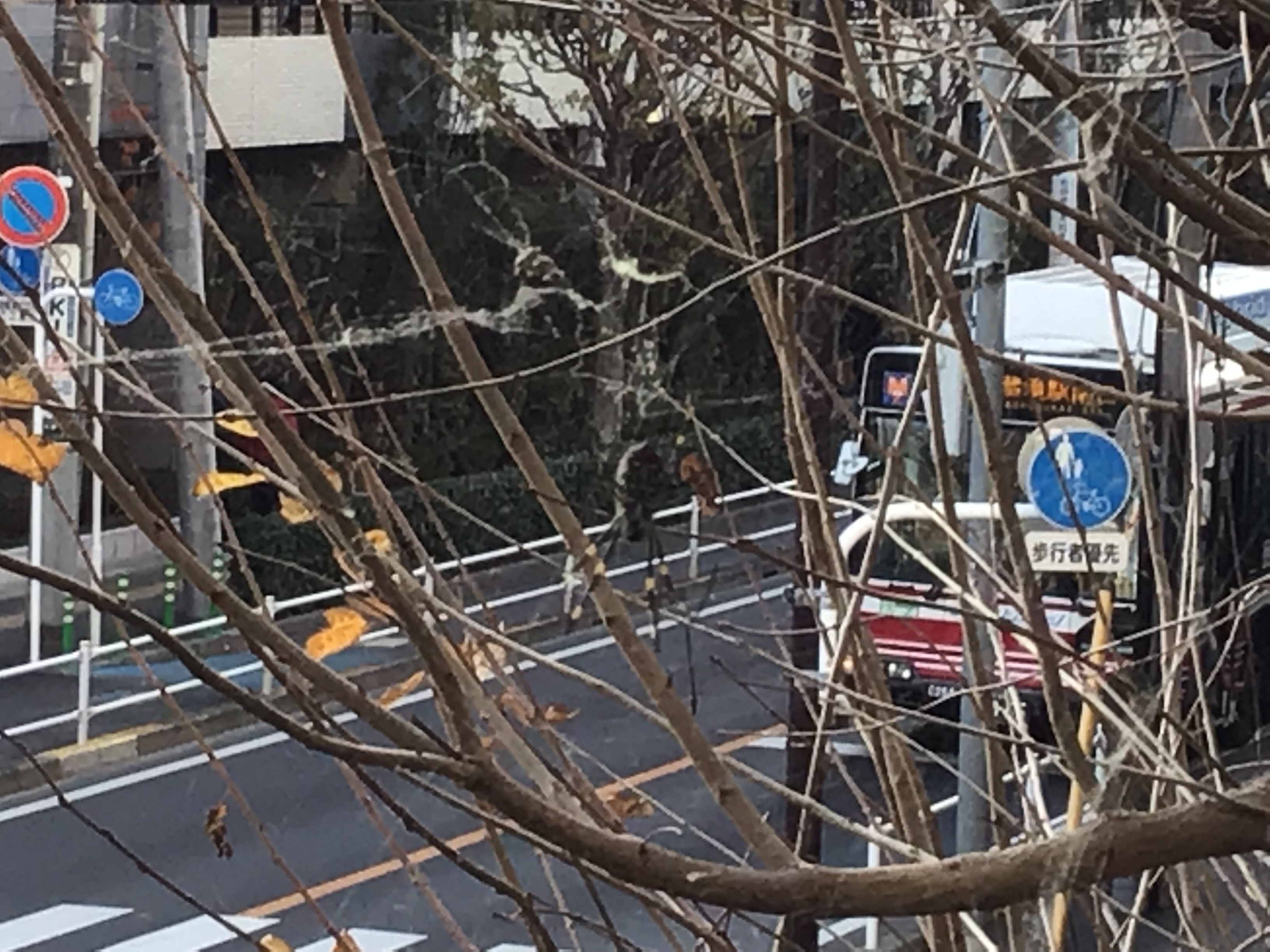 6a8d5847-d727-4c6d-8e29-c41a5b0b30c0