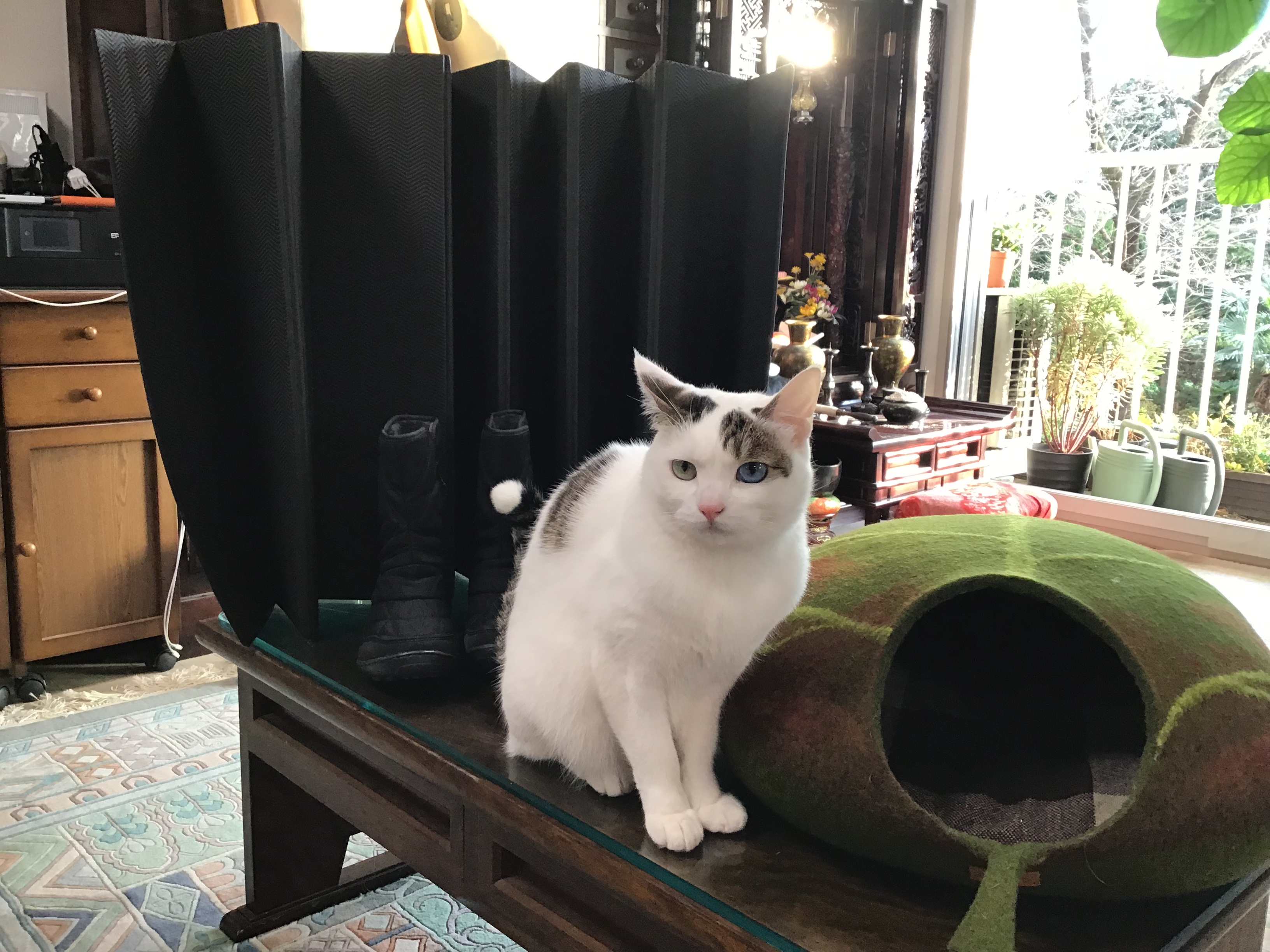 b9d78b91-9e9f-4cd7-b751-d46a3509c203