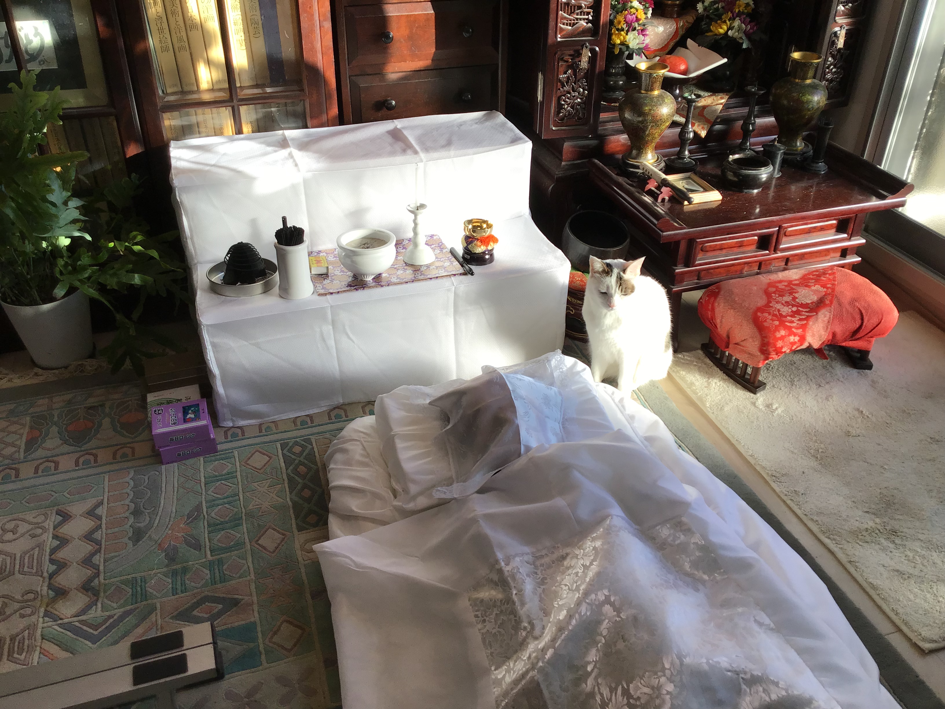 44216bf5-23e3-4360-ae9b-0b733e42e5af