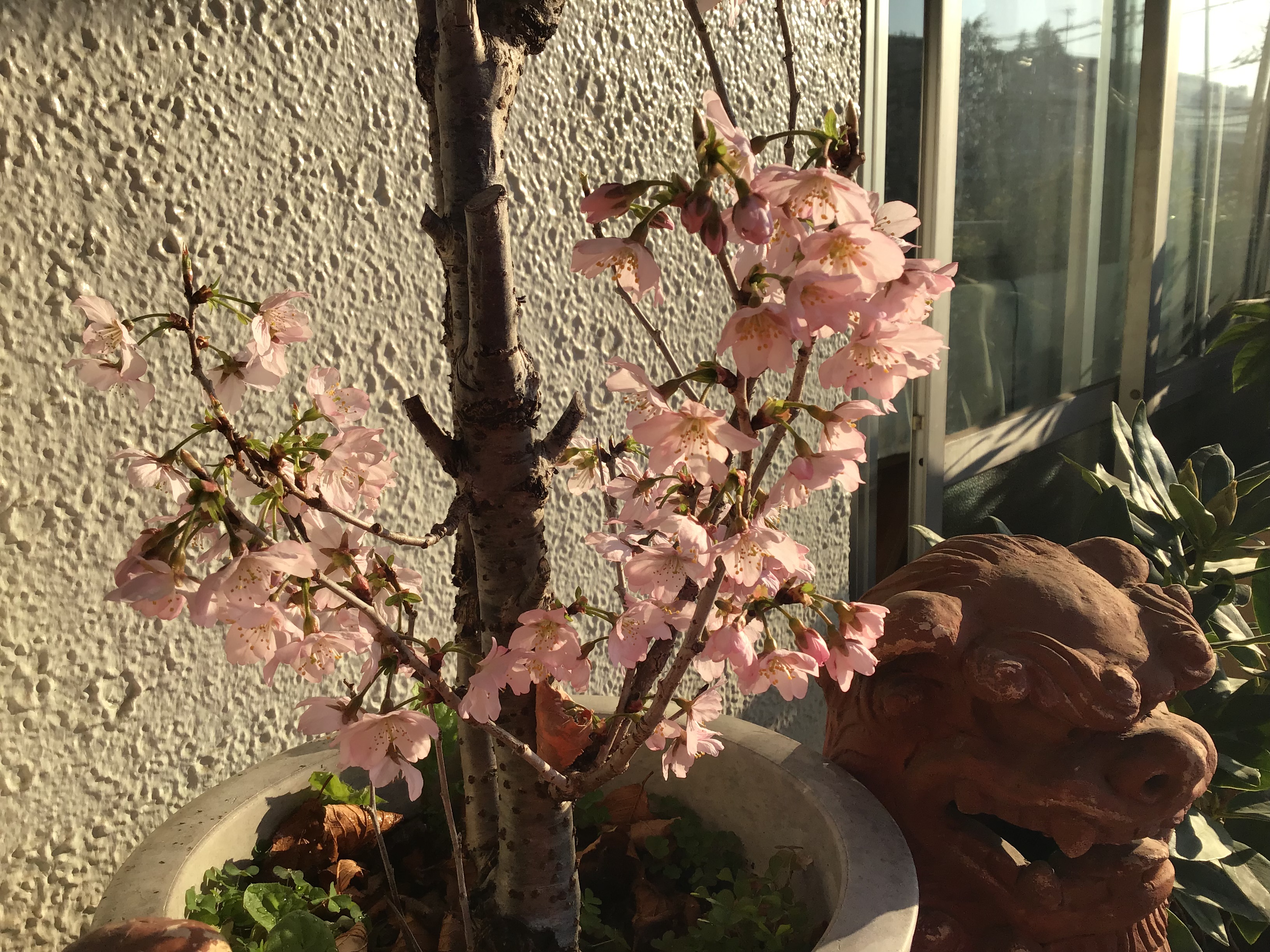 a1ab3878-9d84-475c-9159-9893d302ca58