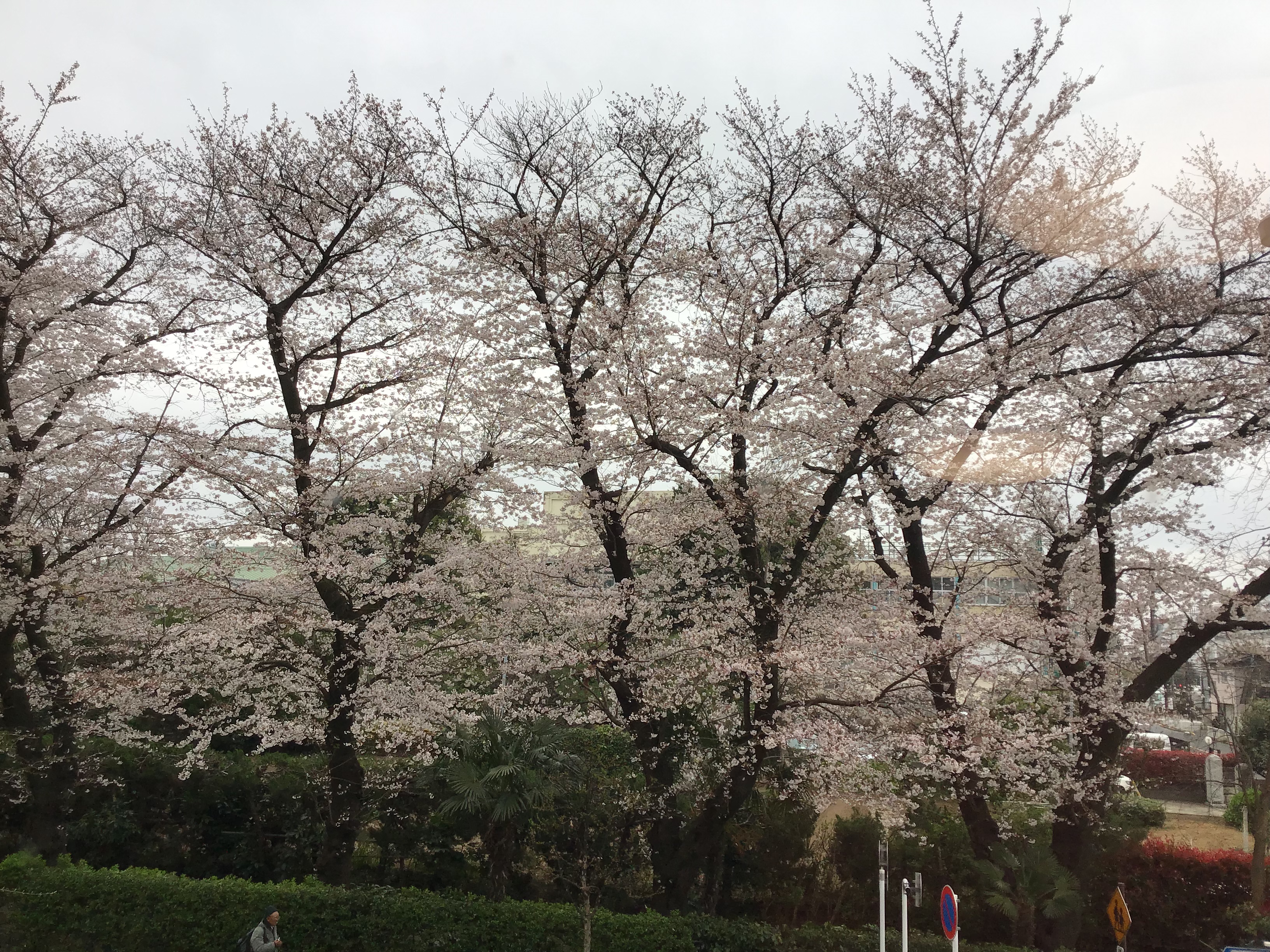 a3181c88-dea2-4459-ac01-e8116173a066