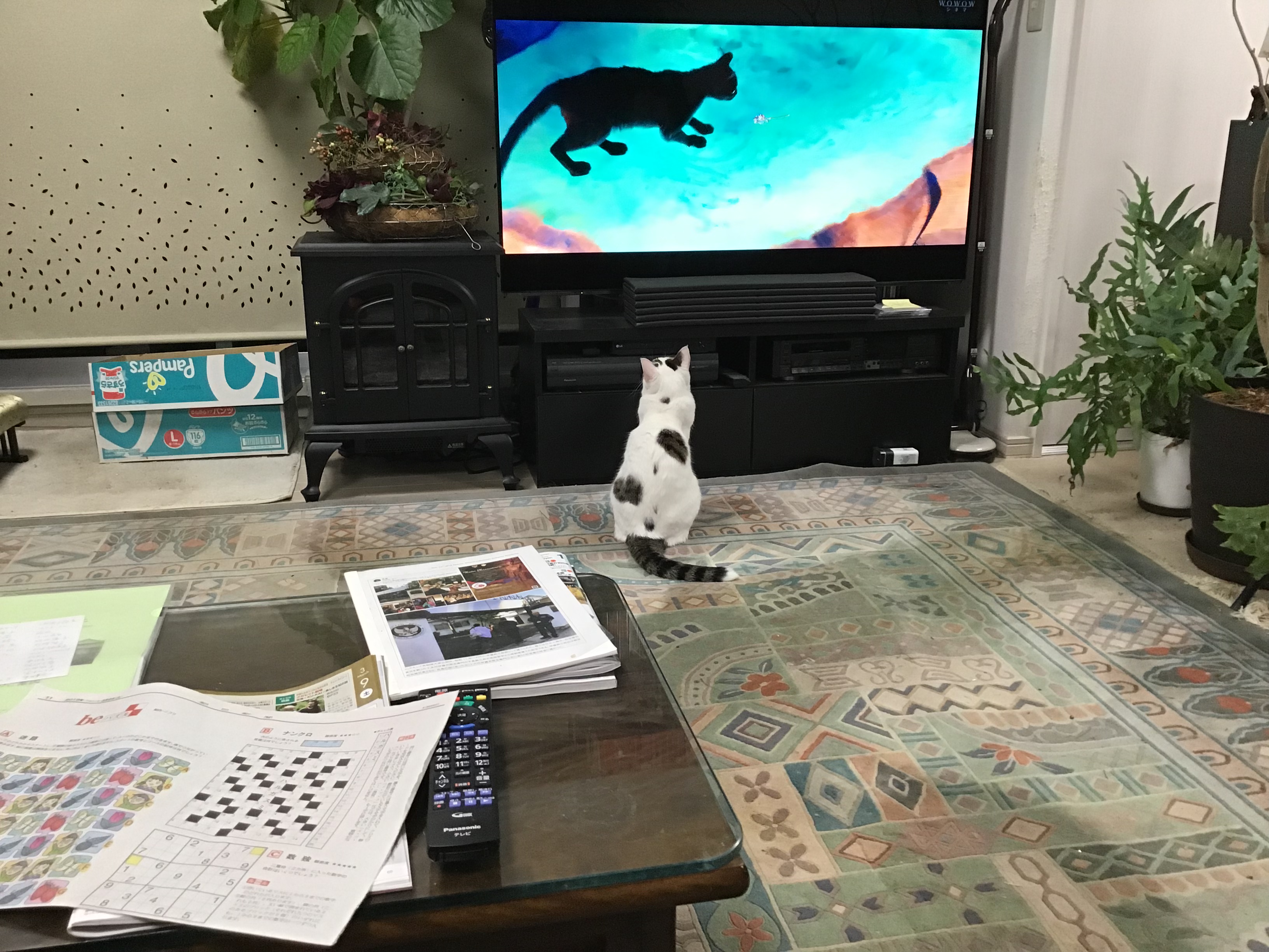 ee800f99-ca82-4dad-8a1c-1e31356730cc