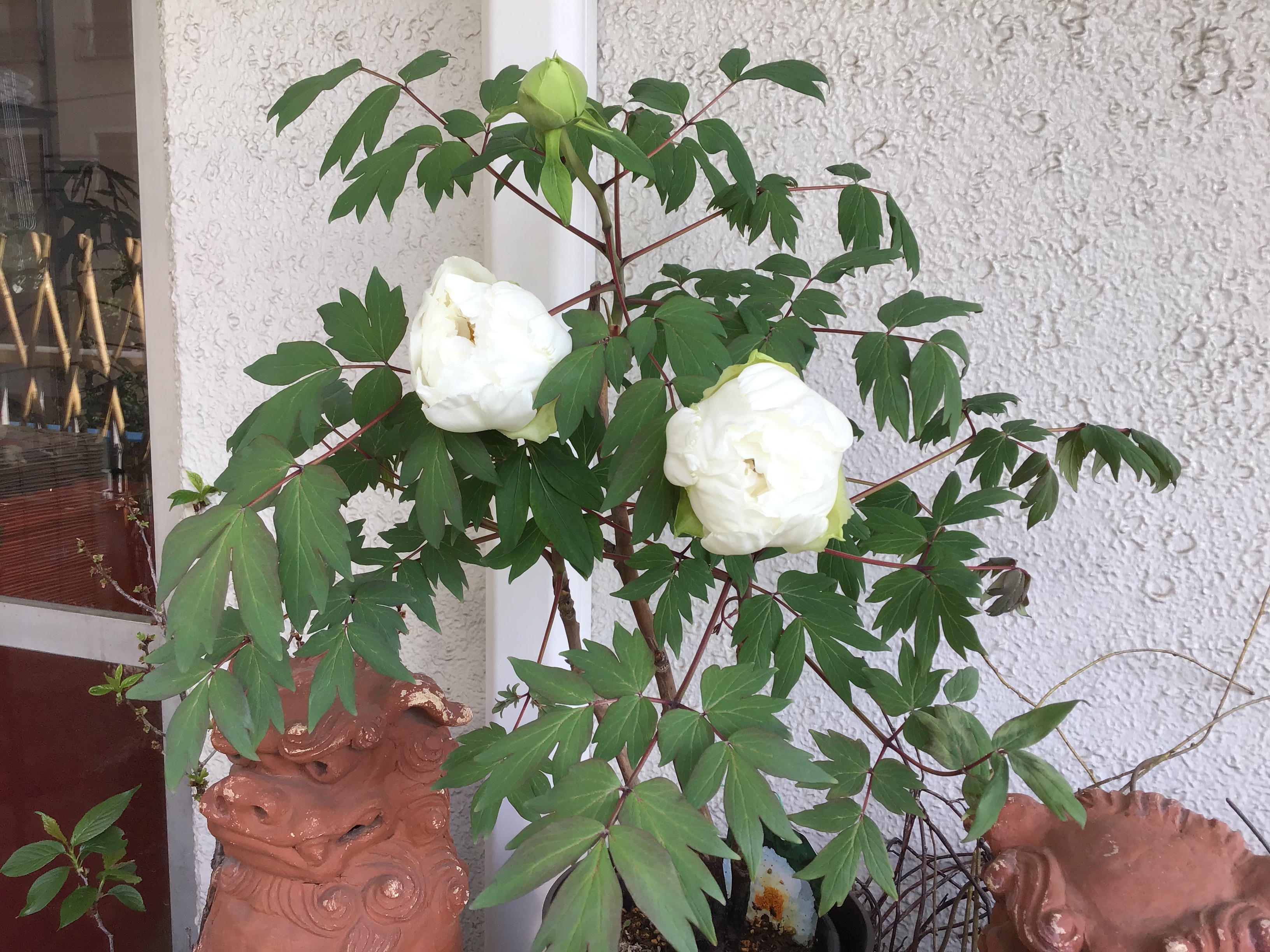 ae9b04be-66ee-414b-a85f-a75e48cc54e0