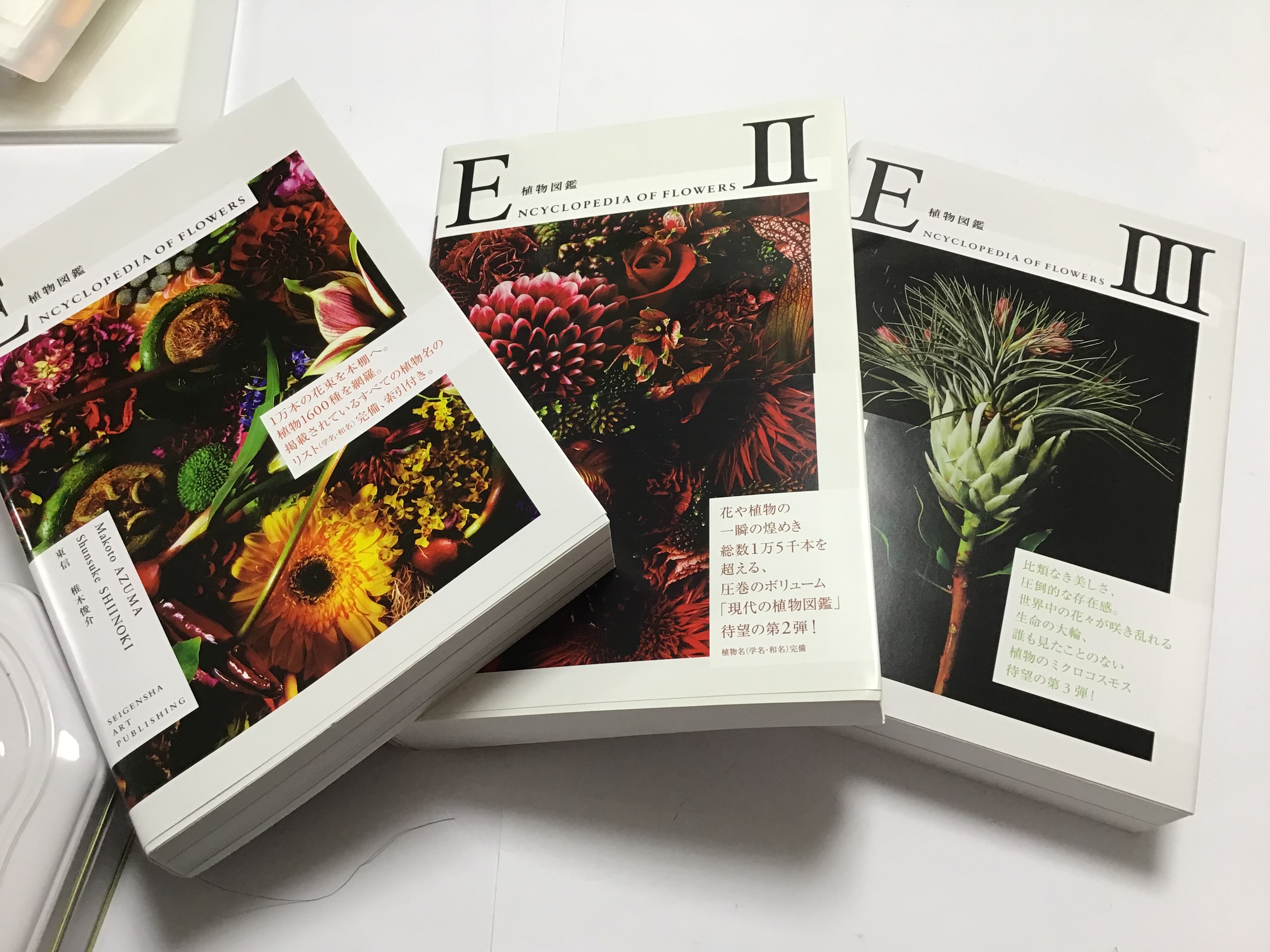 aef732d3-de36-462c-90e7-65903cfadab7