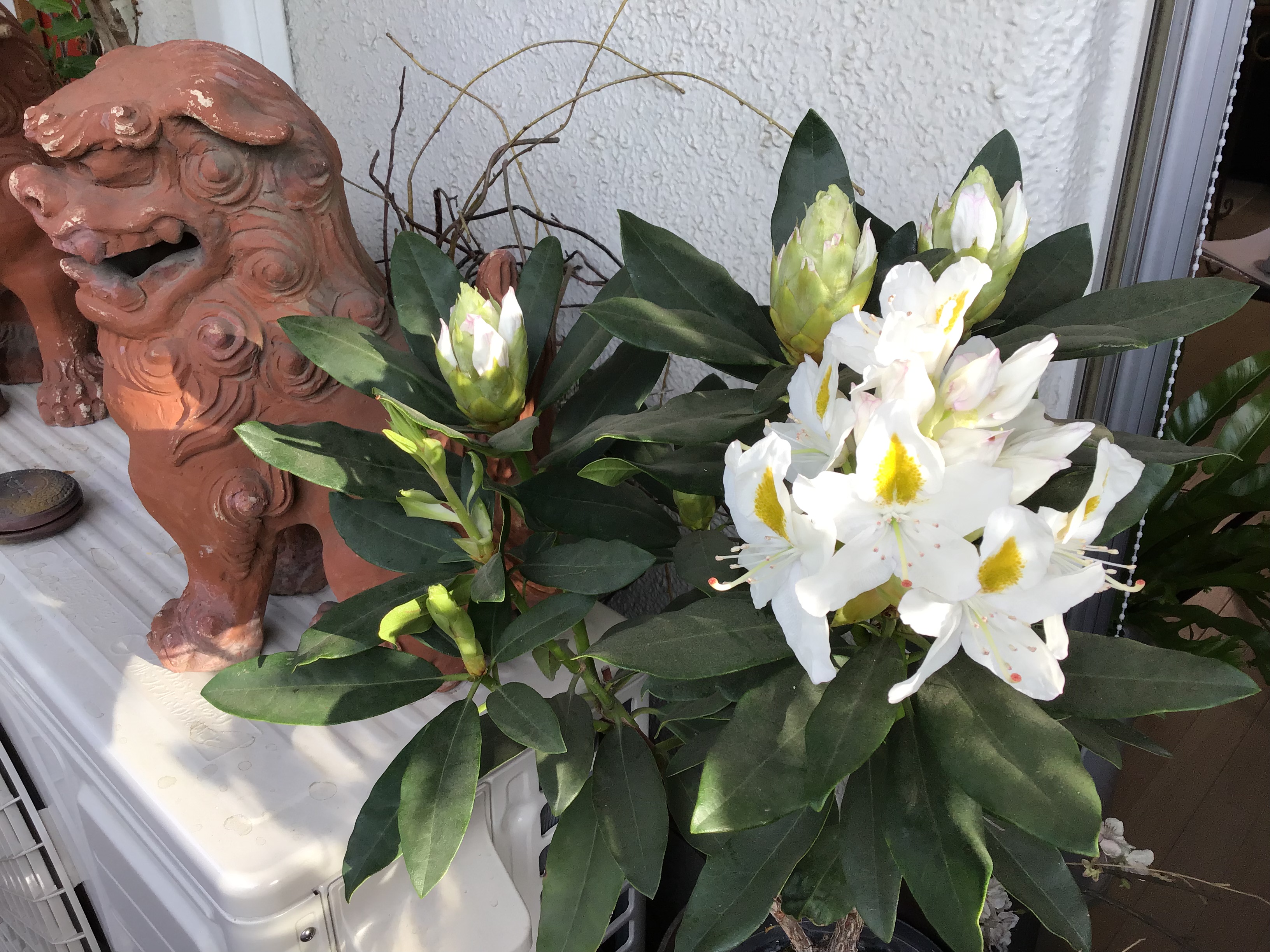 66ab1800-dec5-4442-bdb4-f48f959a46d9