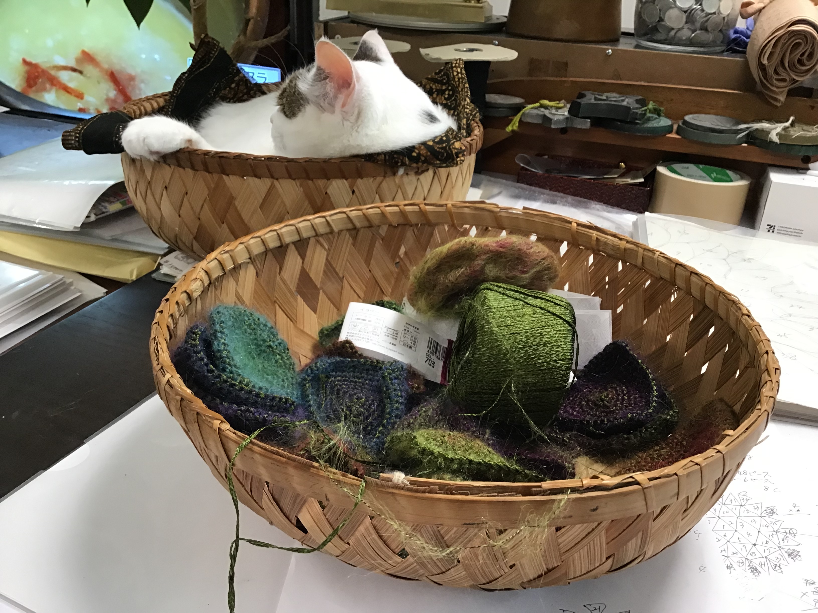 ce9e72a5-62f6-42cf-b0dd-051fa0ed52a2