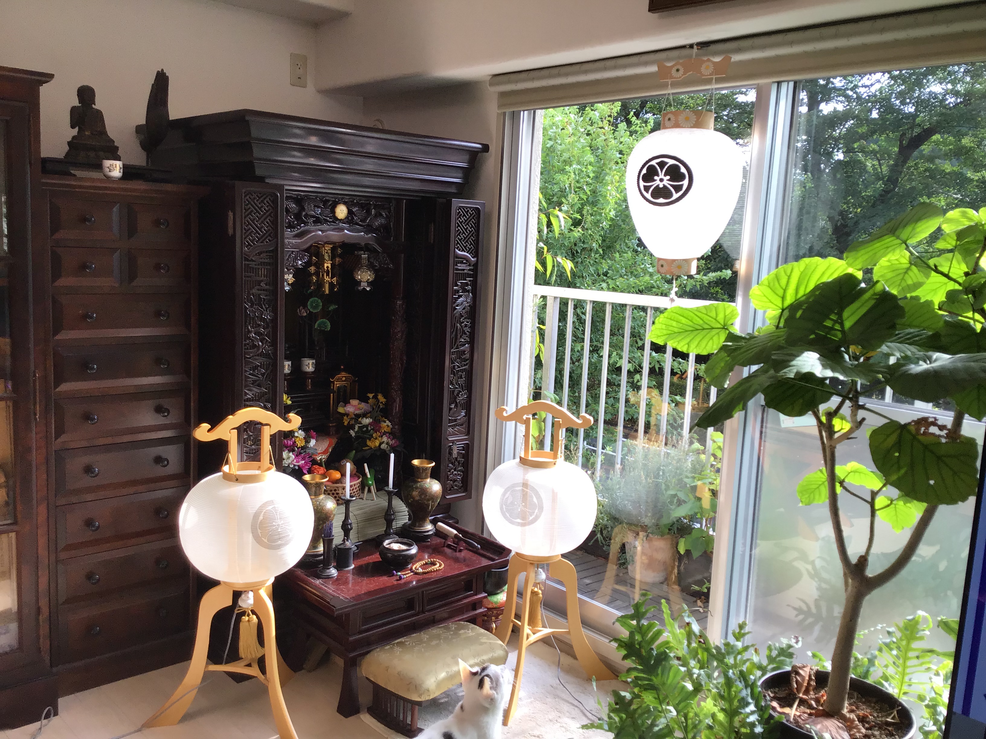 21e1bad8-dc87-4301-a389-db50bf174c09