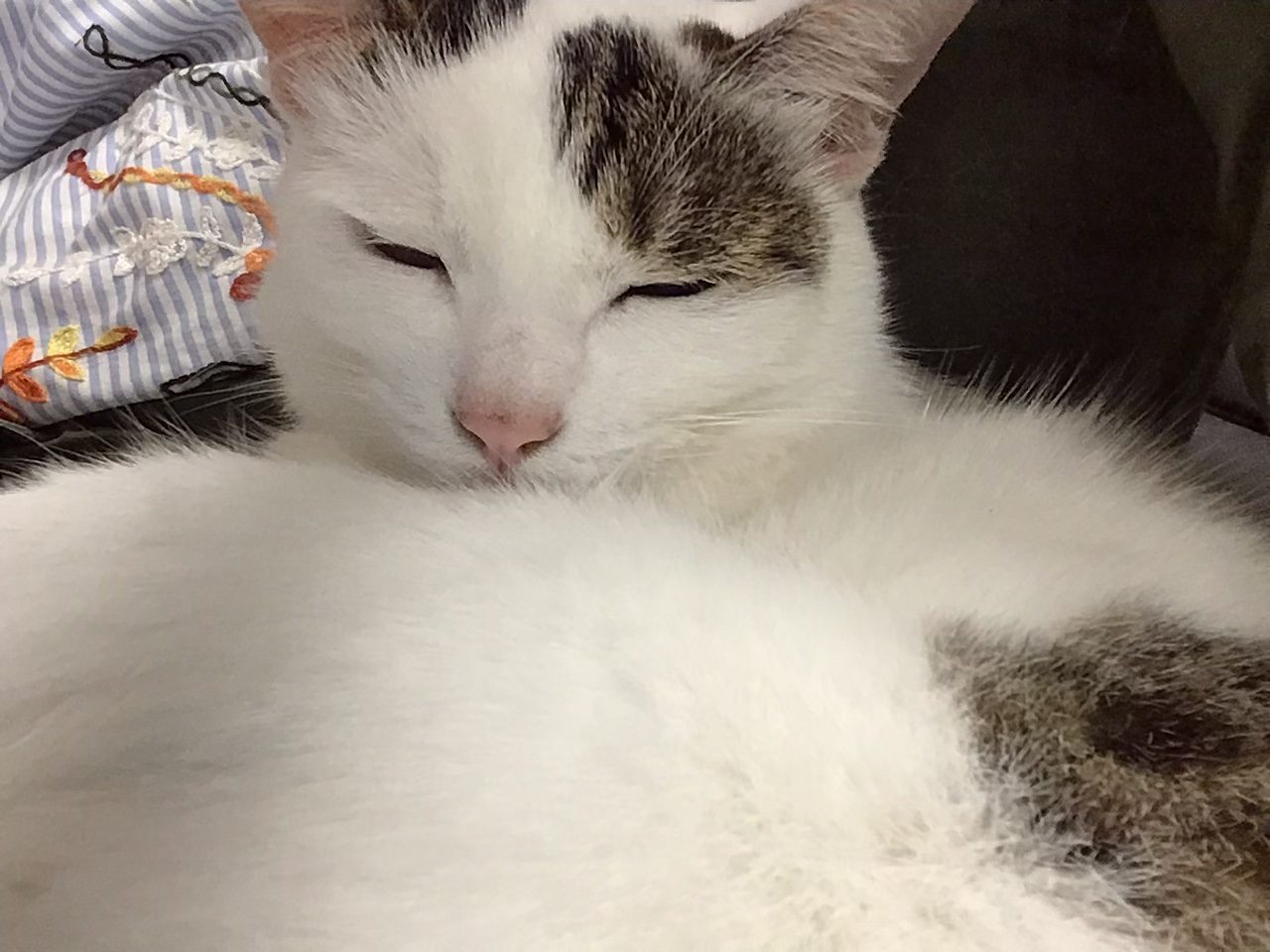 3b2d76f6-4a71-4725-8353-9230abc25e0a