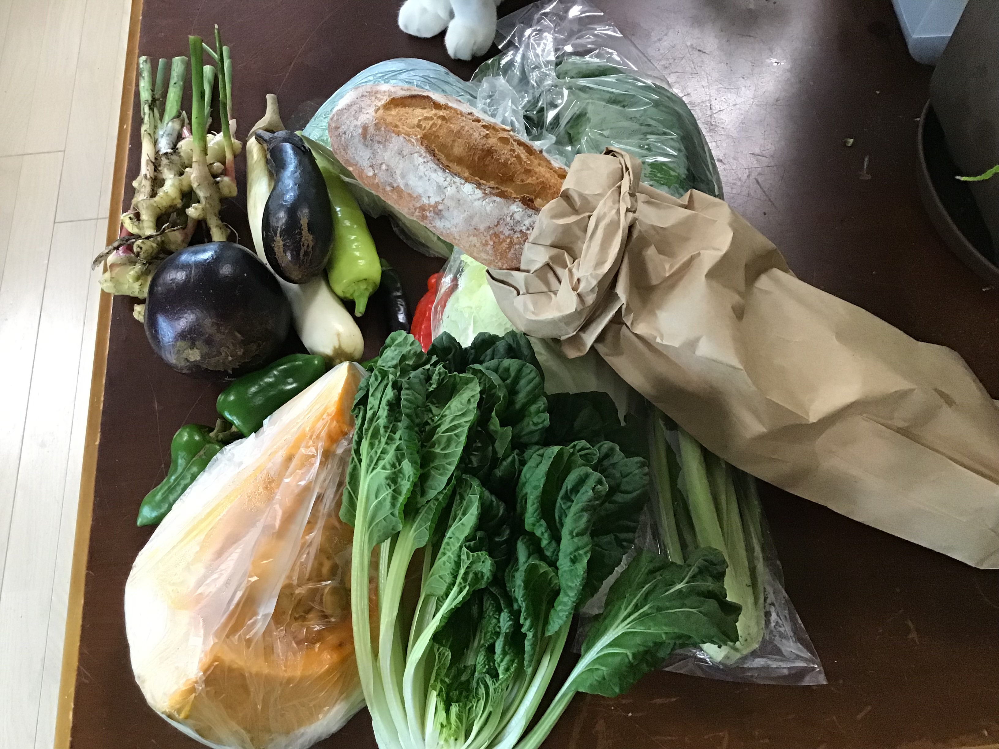 20381dff-dce7-492c-b0c8-c04198f6e883