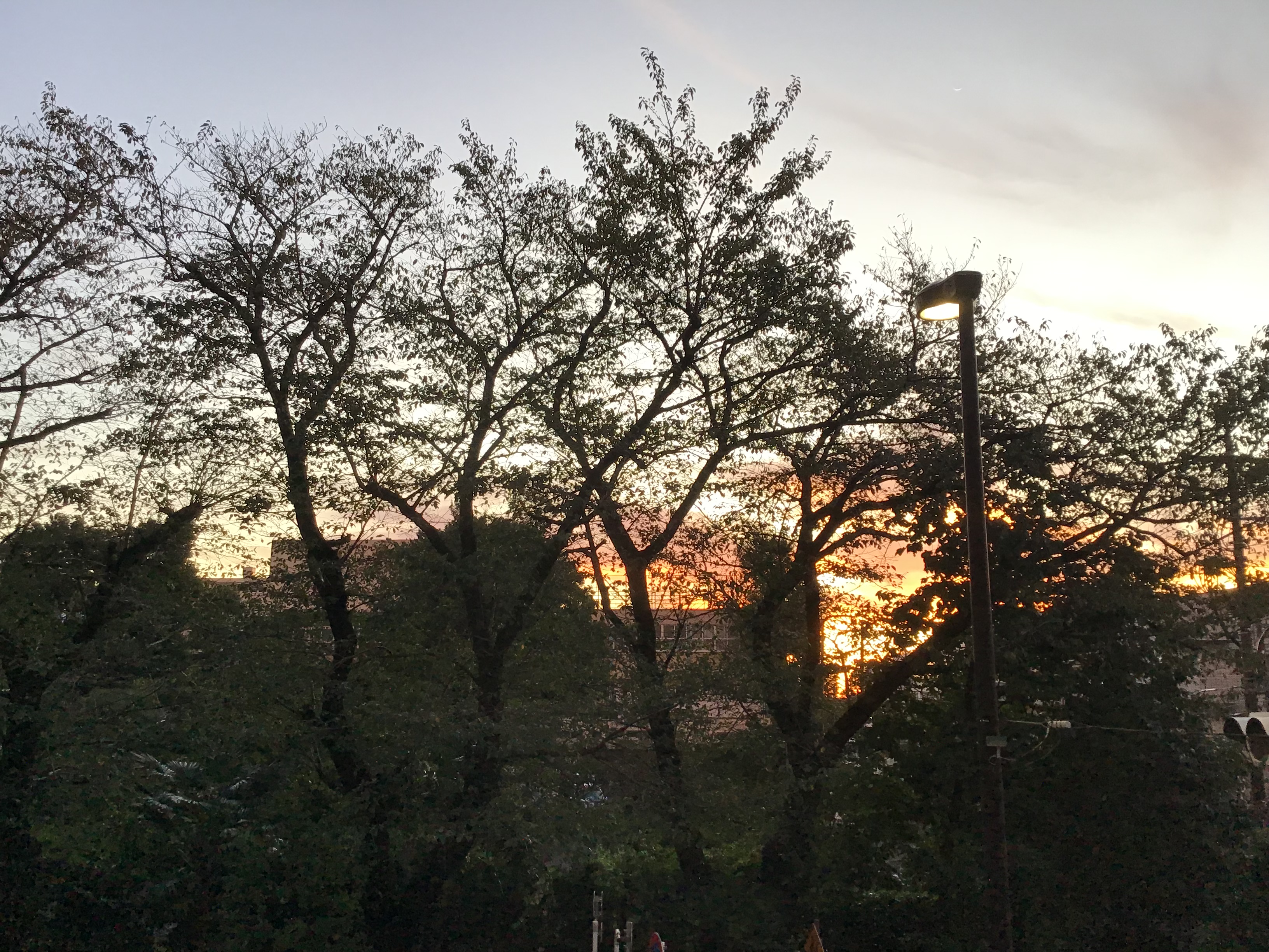 aea2a517-1a23-4303-83c3-7d683598239c