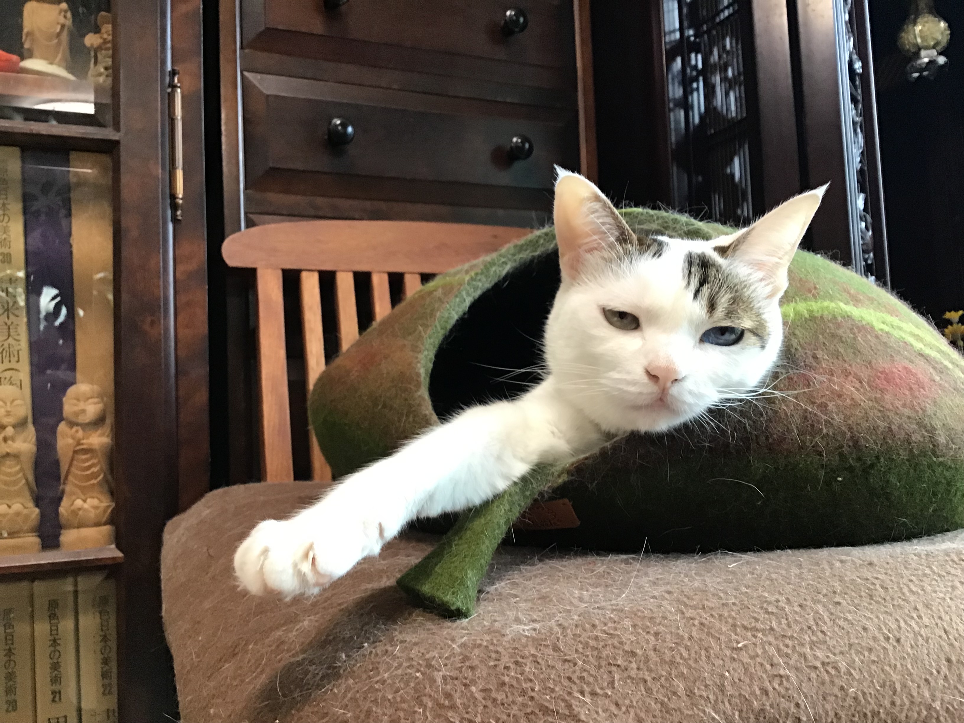 c2cb0c9d-491f-4c52-ab98-8cfd86c0aaba