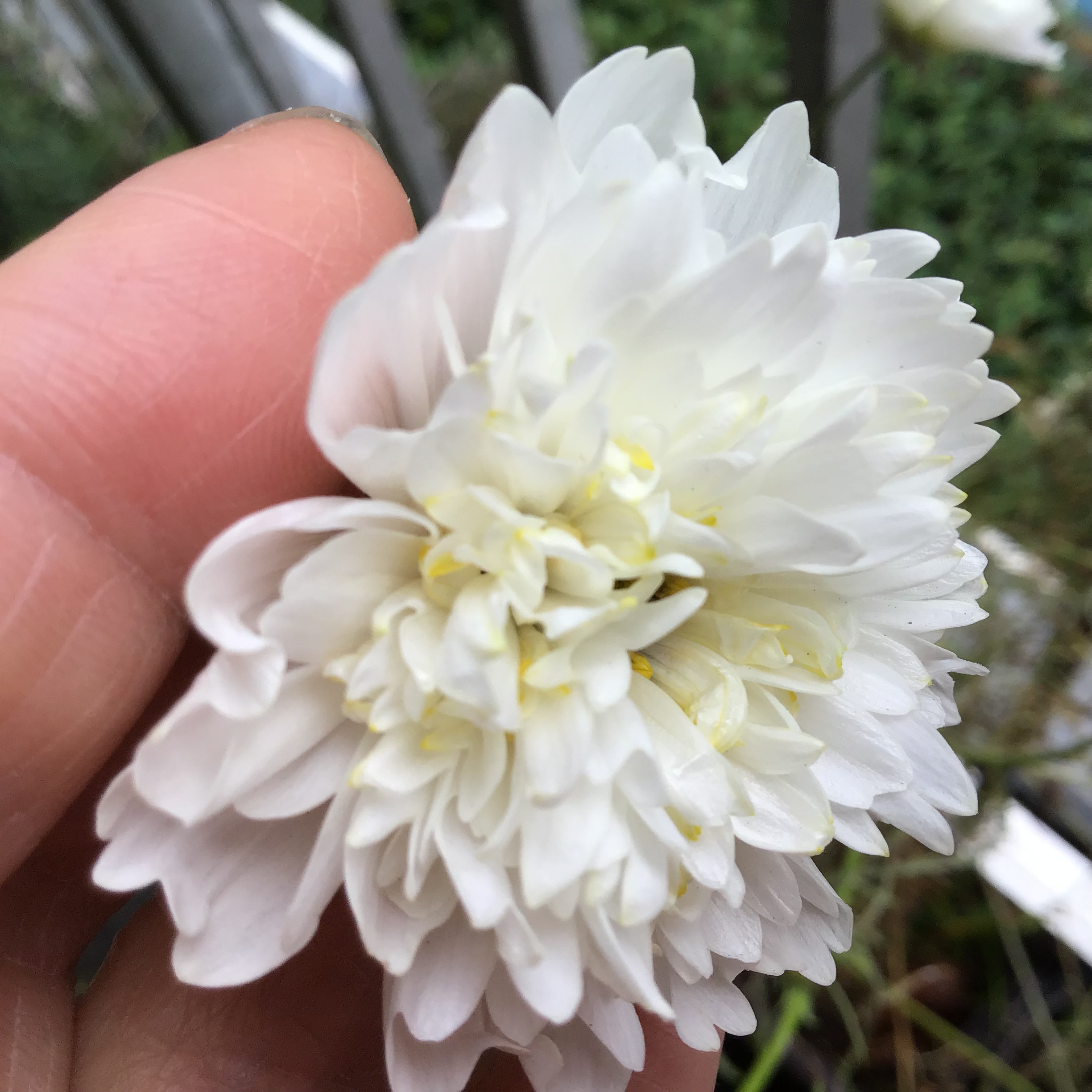 0b526821-19f4-495b-98fa-1a10b6dd5422