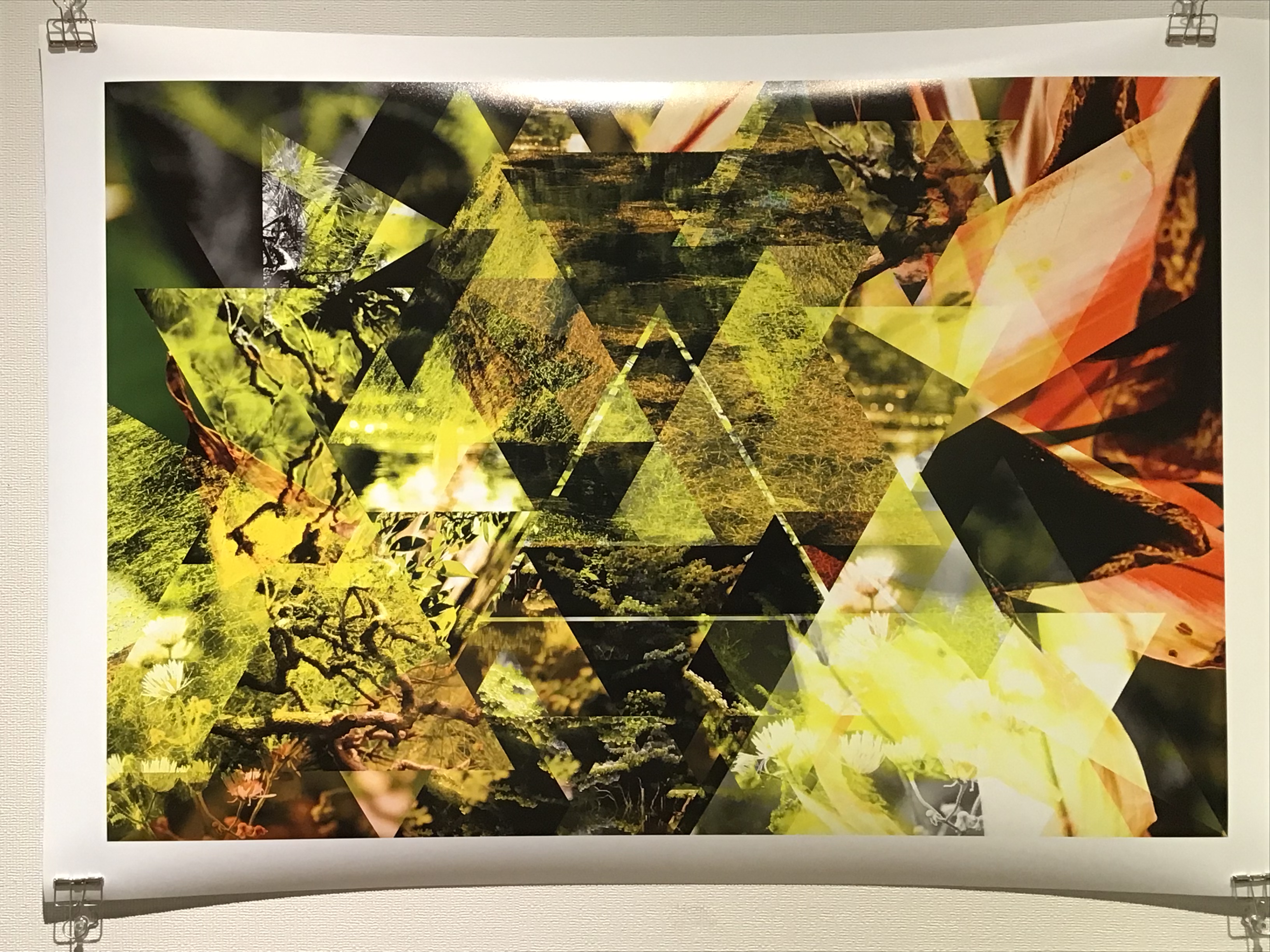 13bb91ba-de9e-4461-a7aa-f69880054b19