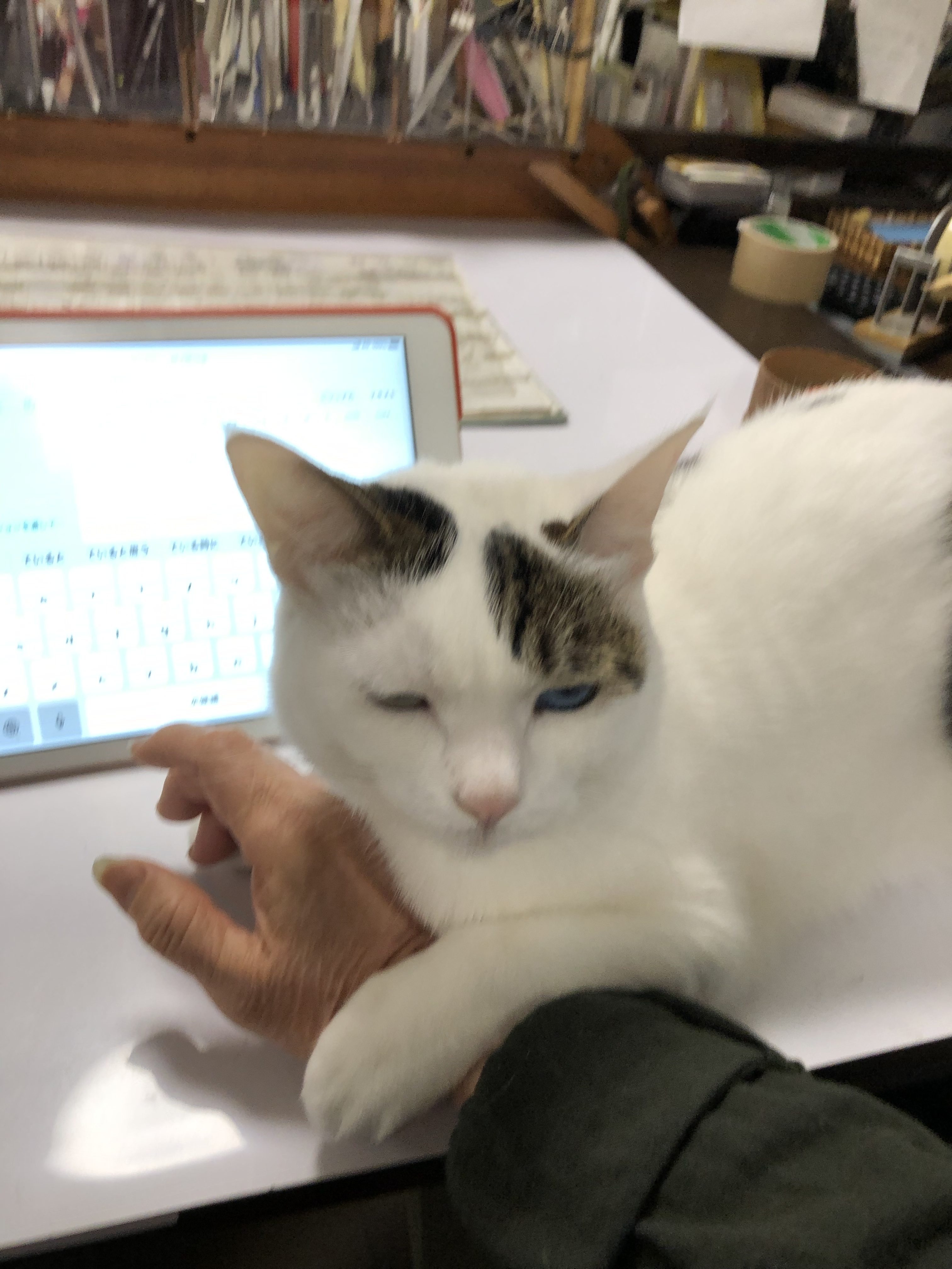 4dd2b497-efe2-443f-b764-38a1028fce92