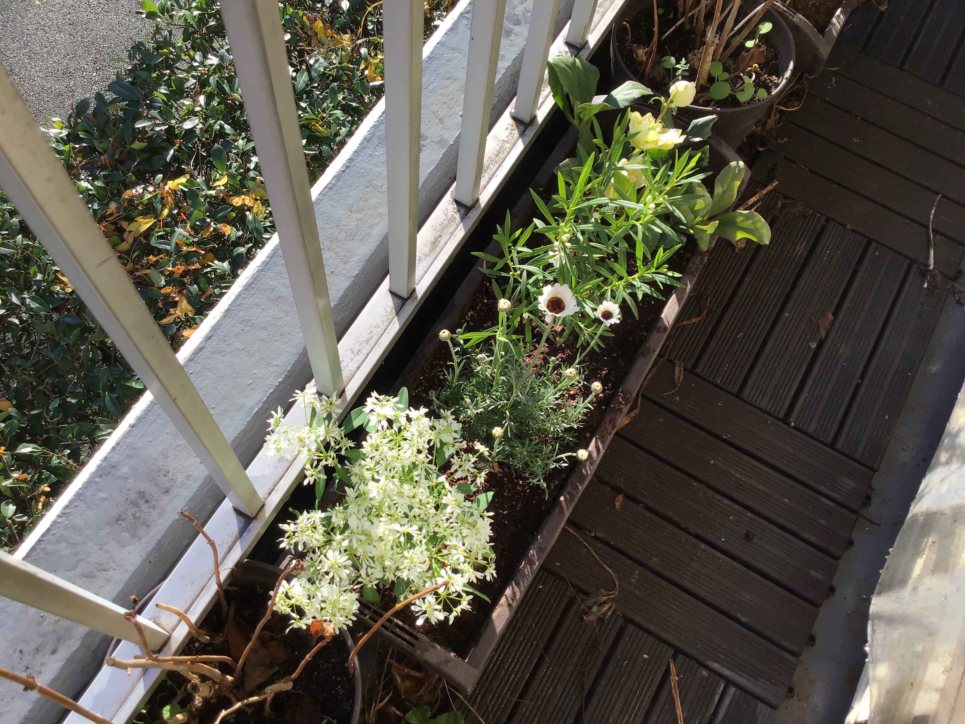 a4f72123-6dd6-4ca1-ae87-bad07cf88139