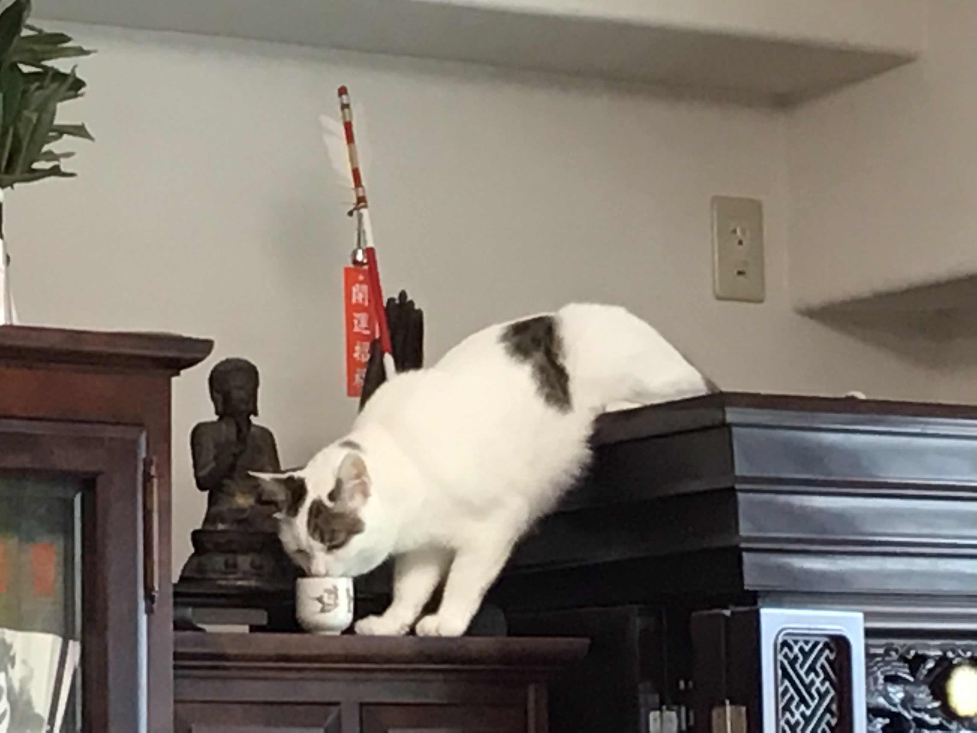 38ab5a6e-a010-4792-aee5-8e0b661badd3