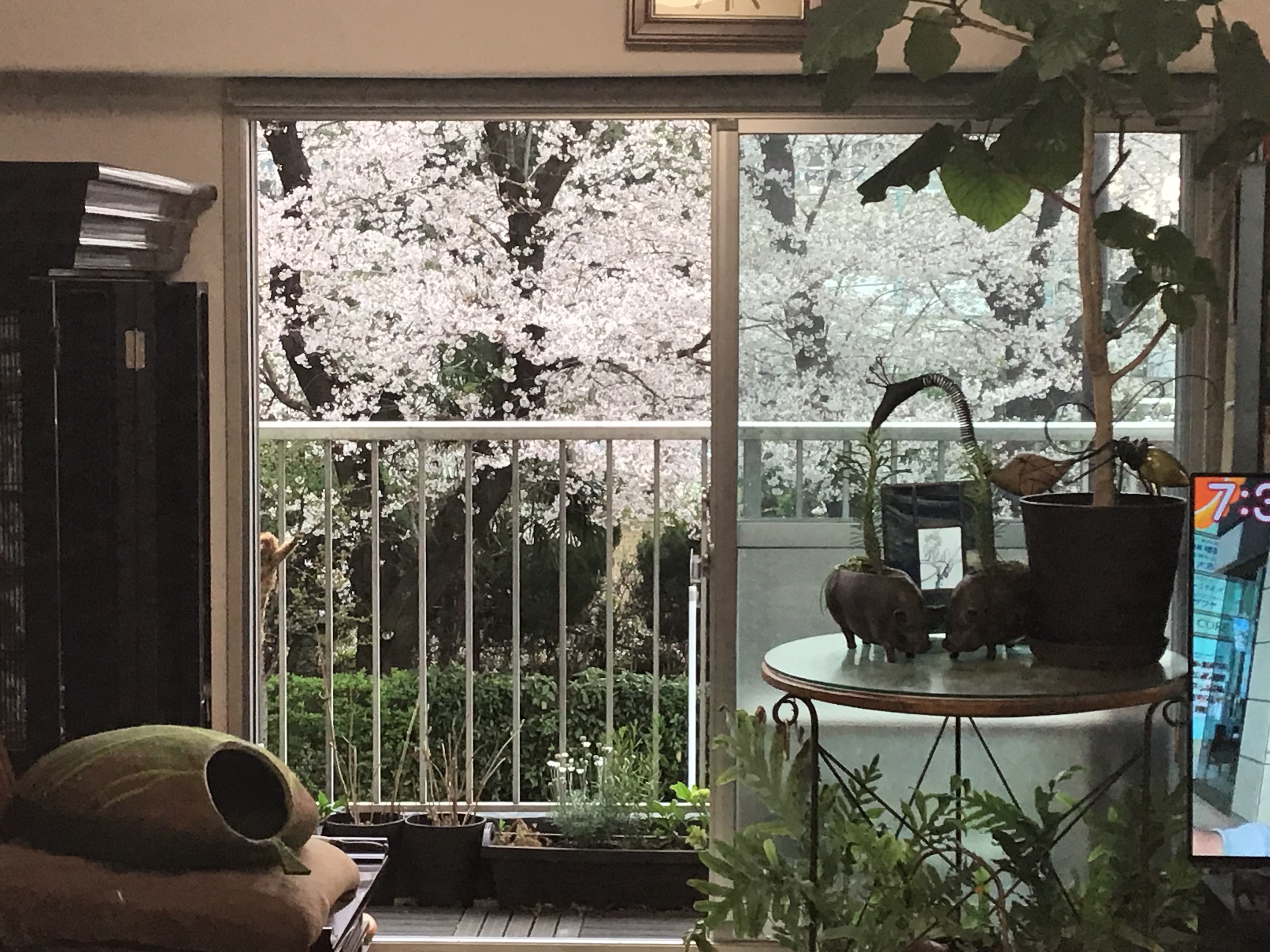 a3f5519f-c57c-44d4-bbfe-30cc5a78ff51