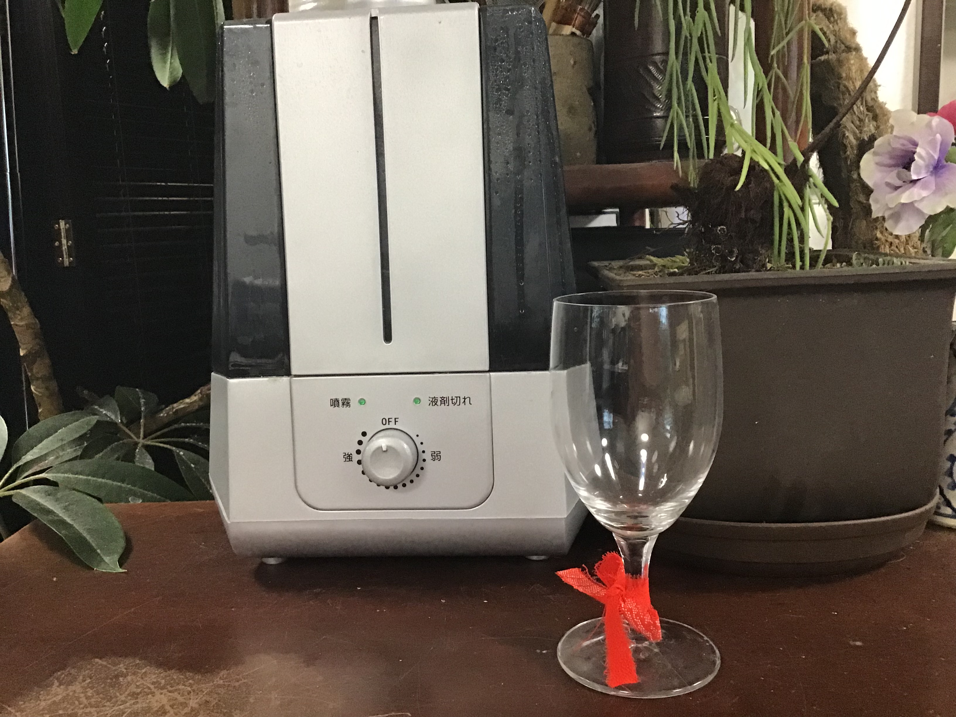 fe665154-71ef-4802-aef7-b42a8fbbbeef