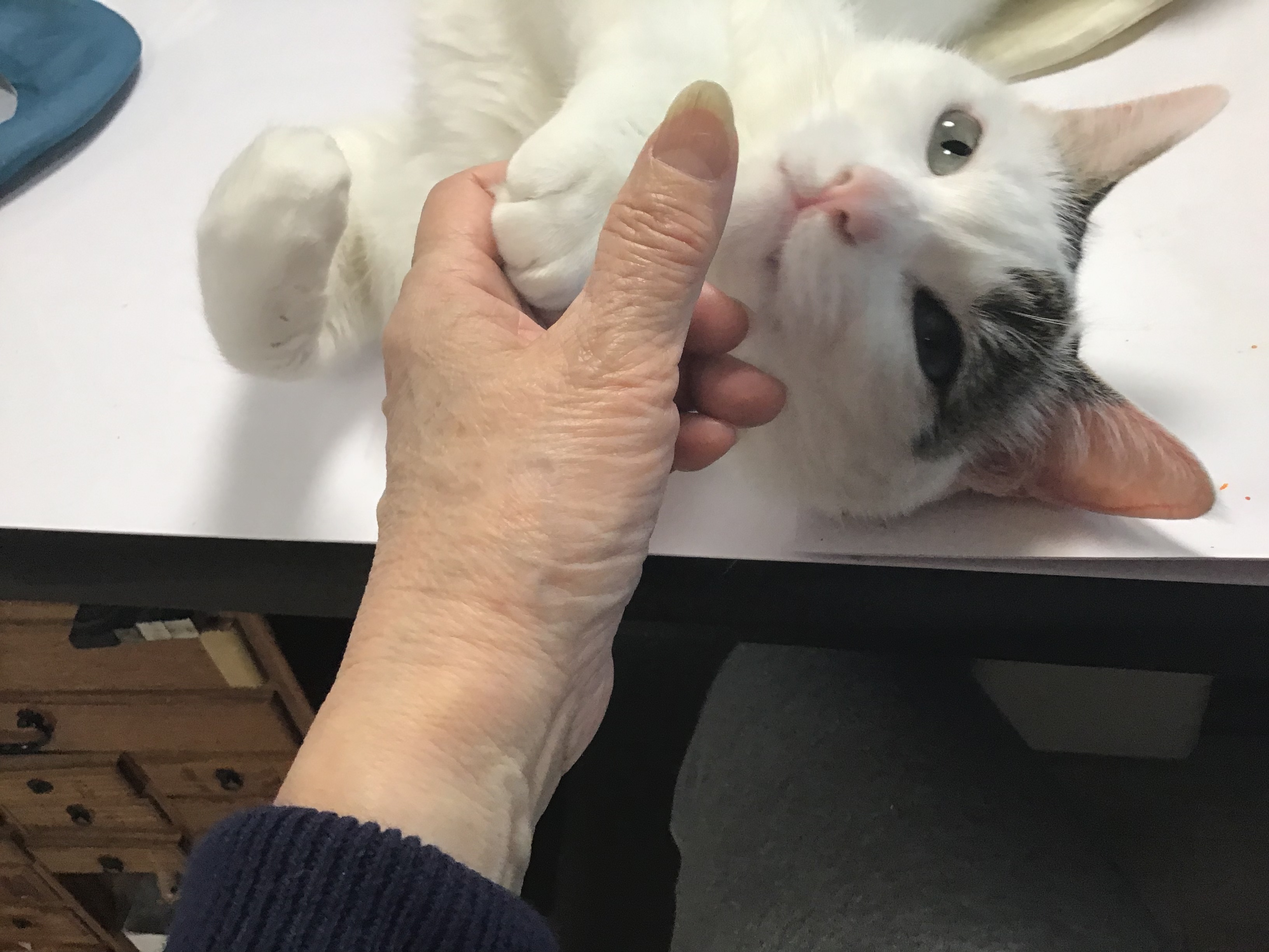 0bbab526-978e-4608-9219-e7a7f704a864