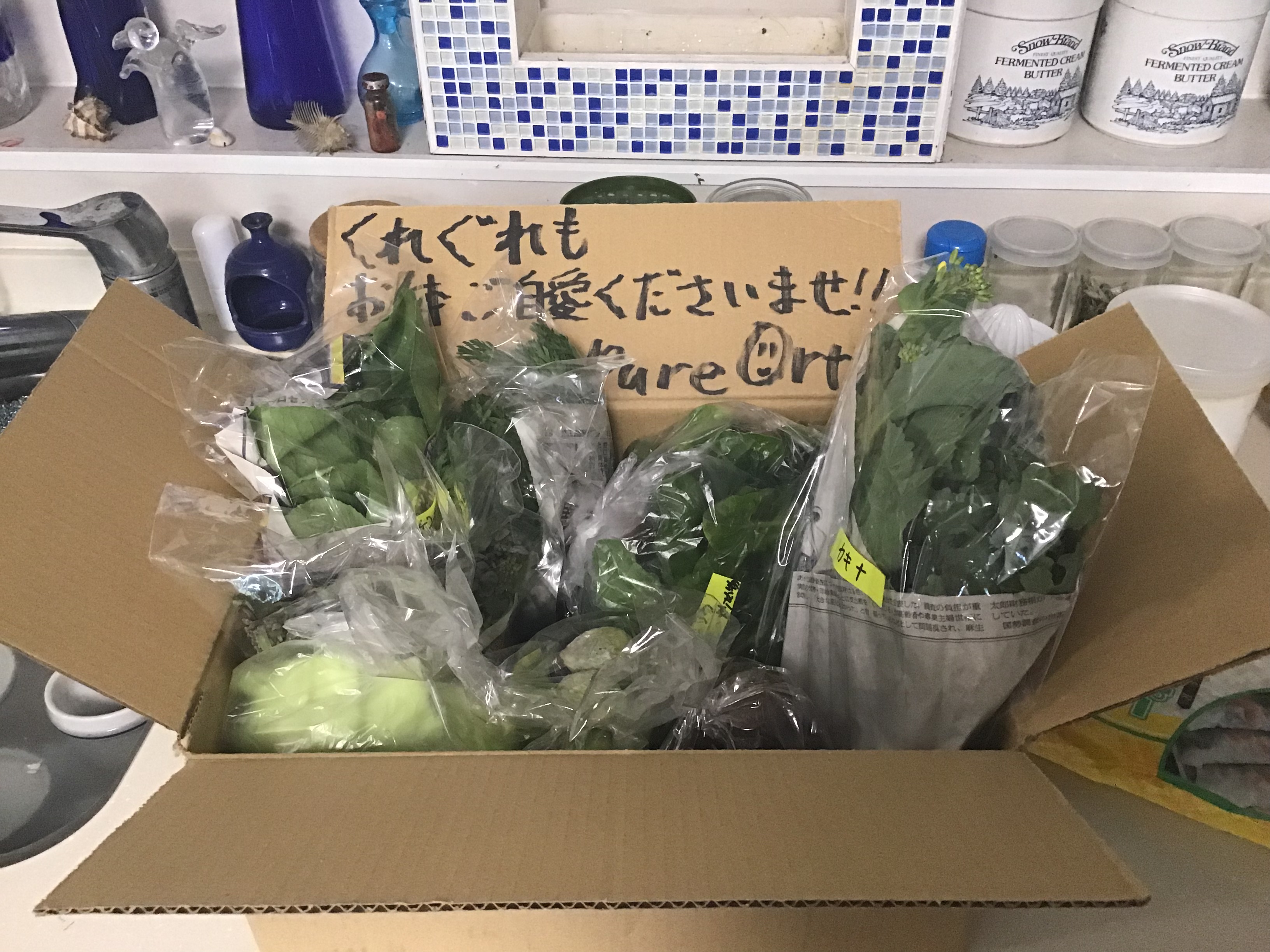 2bb94892-1722-4dc5-9ec3-167dd0bd2072