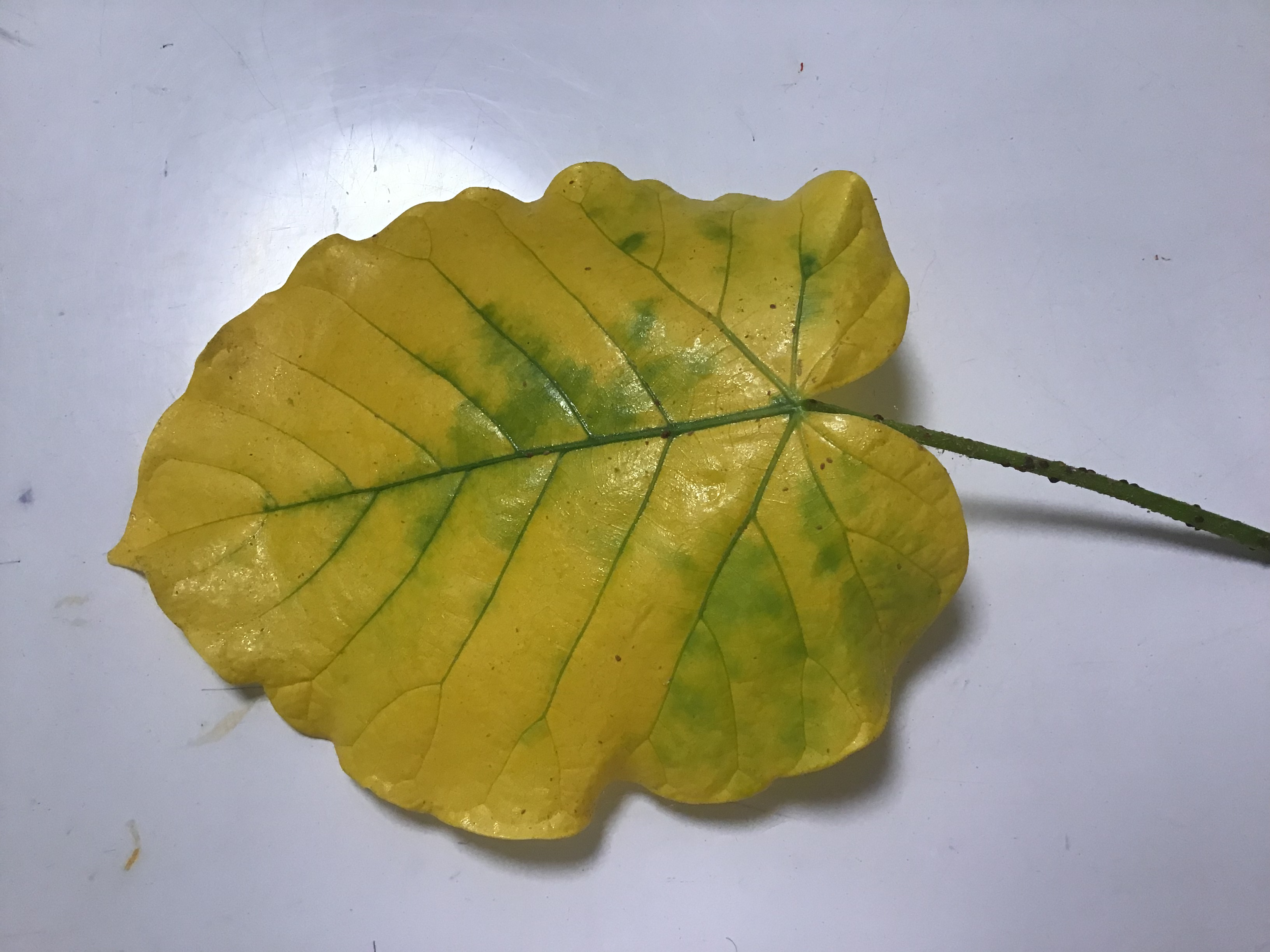 7a97fed5-80a4-4fc0-8230-c13083a70d47