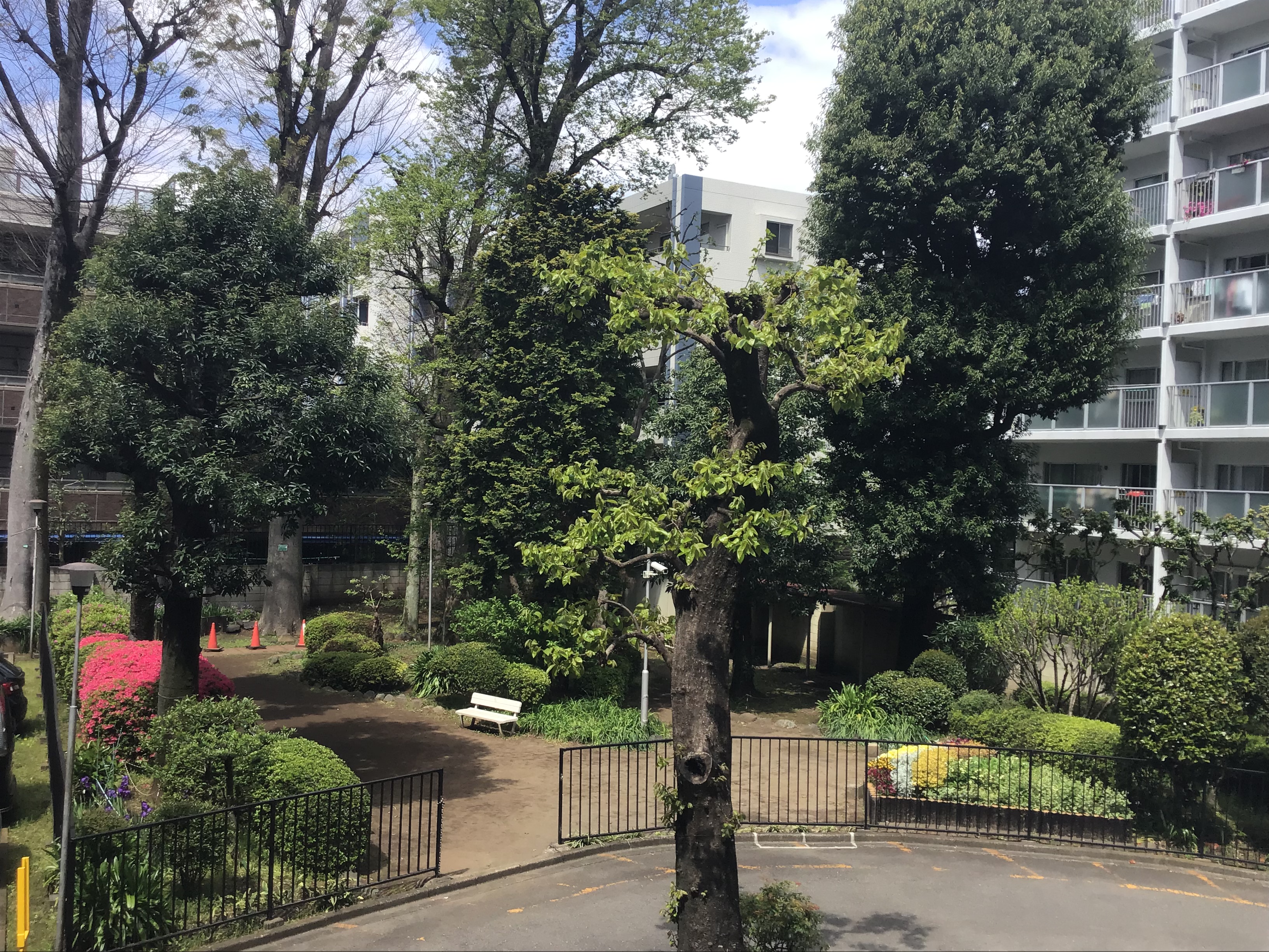 c90878c4-2a1c-44d3-9a72-62f83c950d82