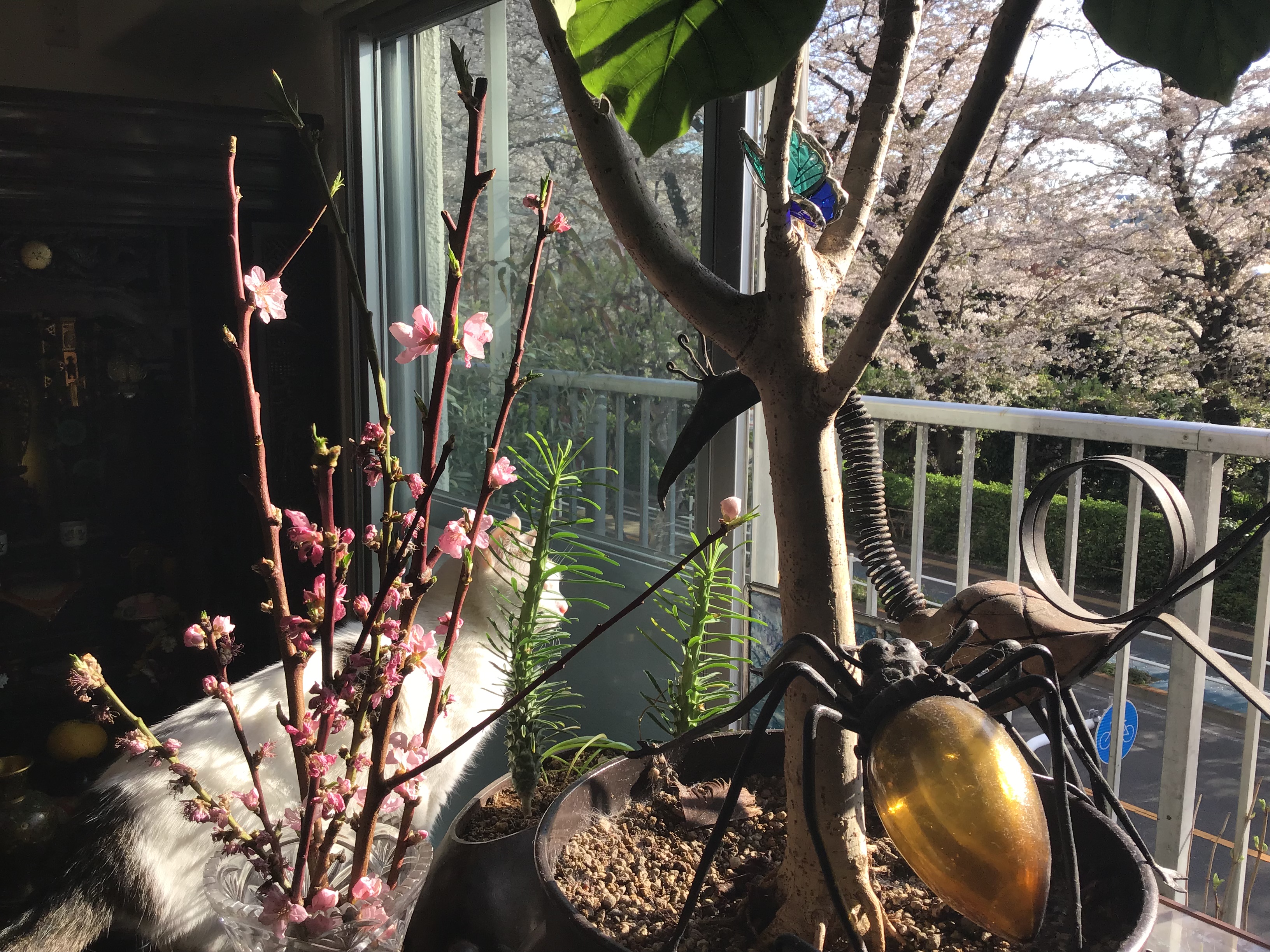 f37fe817-1c05-4cbf-a345-324c9e57ba5d