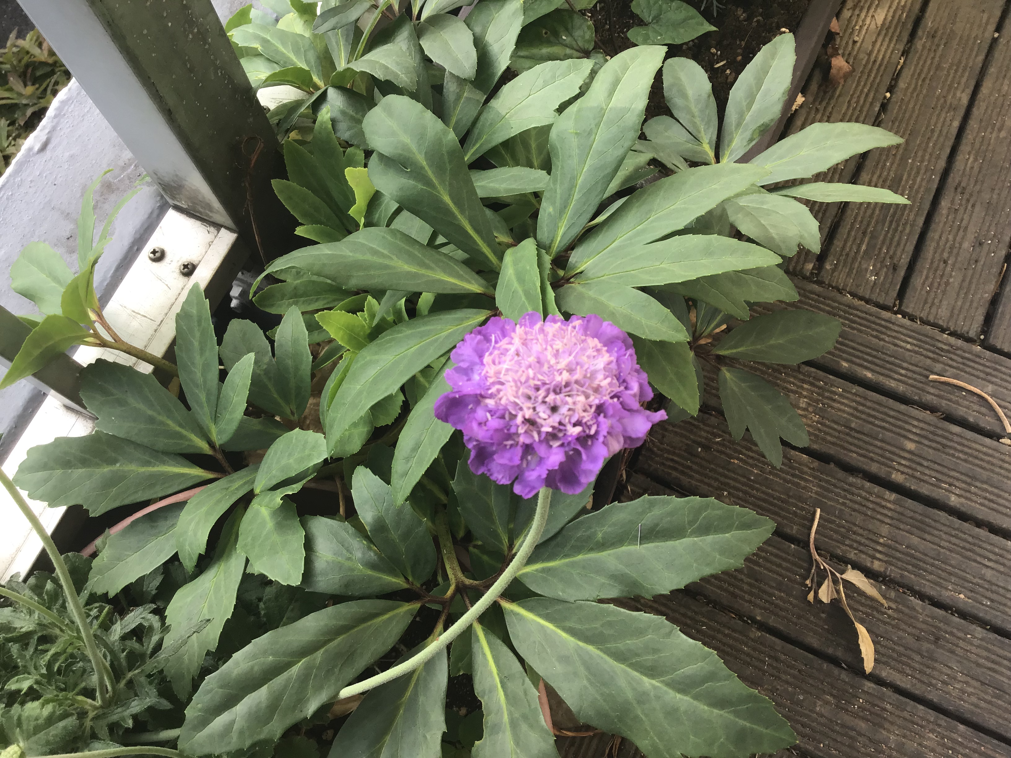 04280bd8-2278-4909-8031-23956f64a174