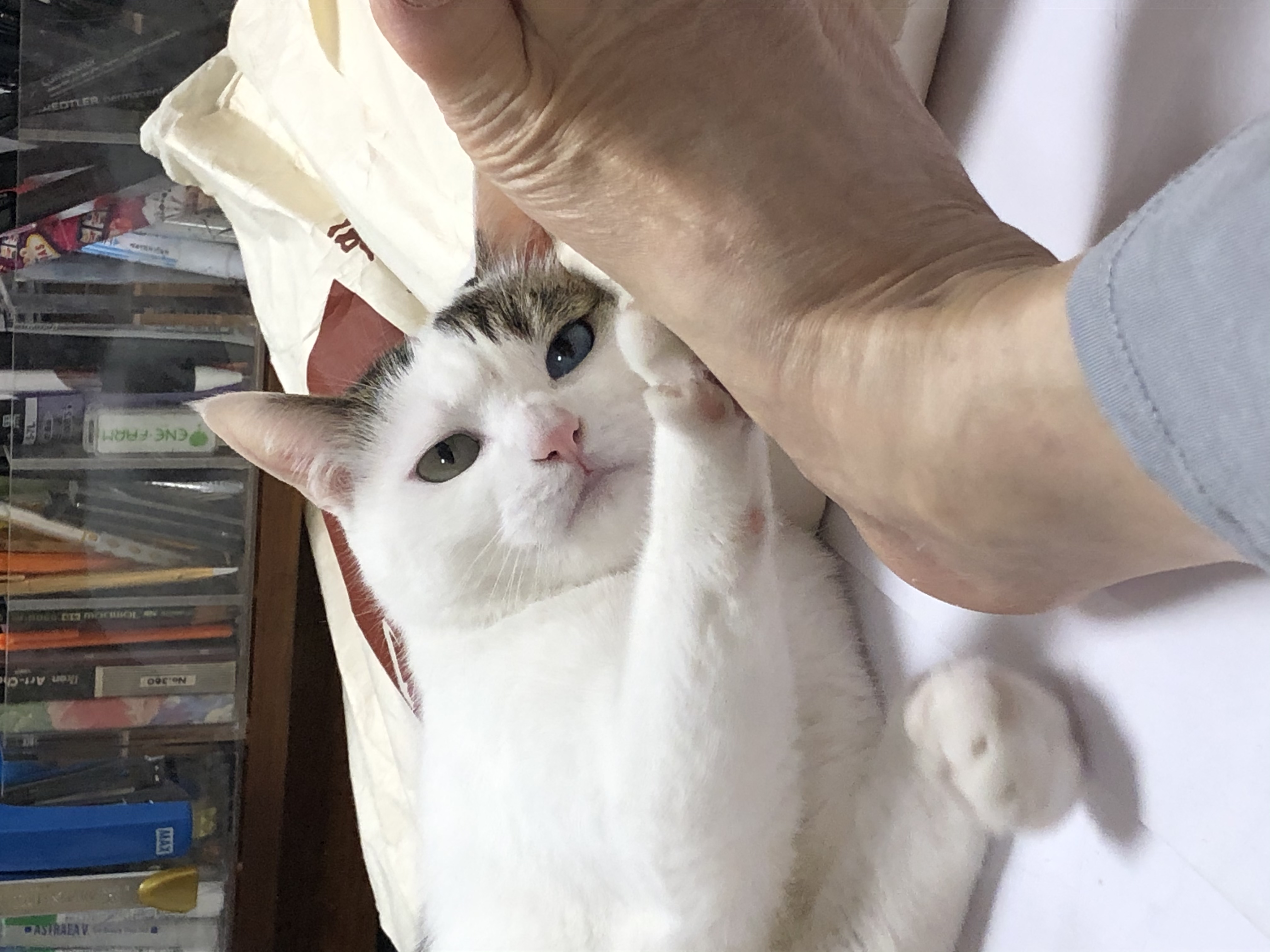 65b9744b-7c86-4ce9-b169-9d563d882cb9