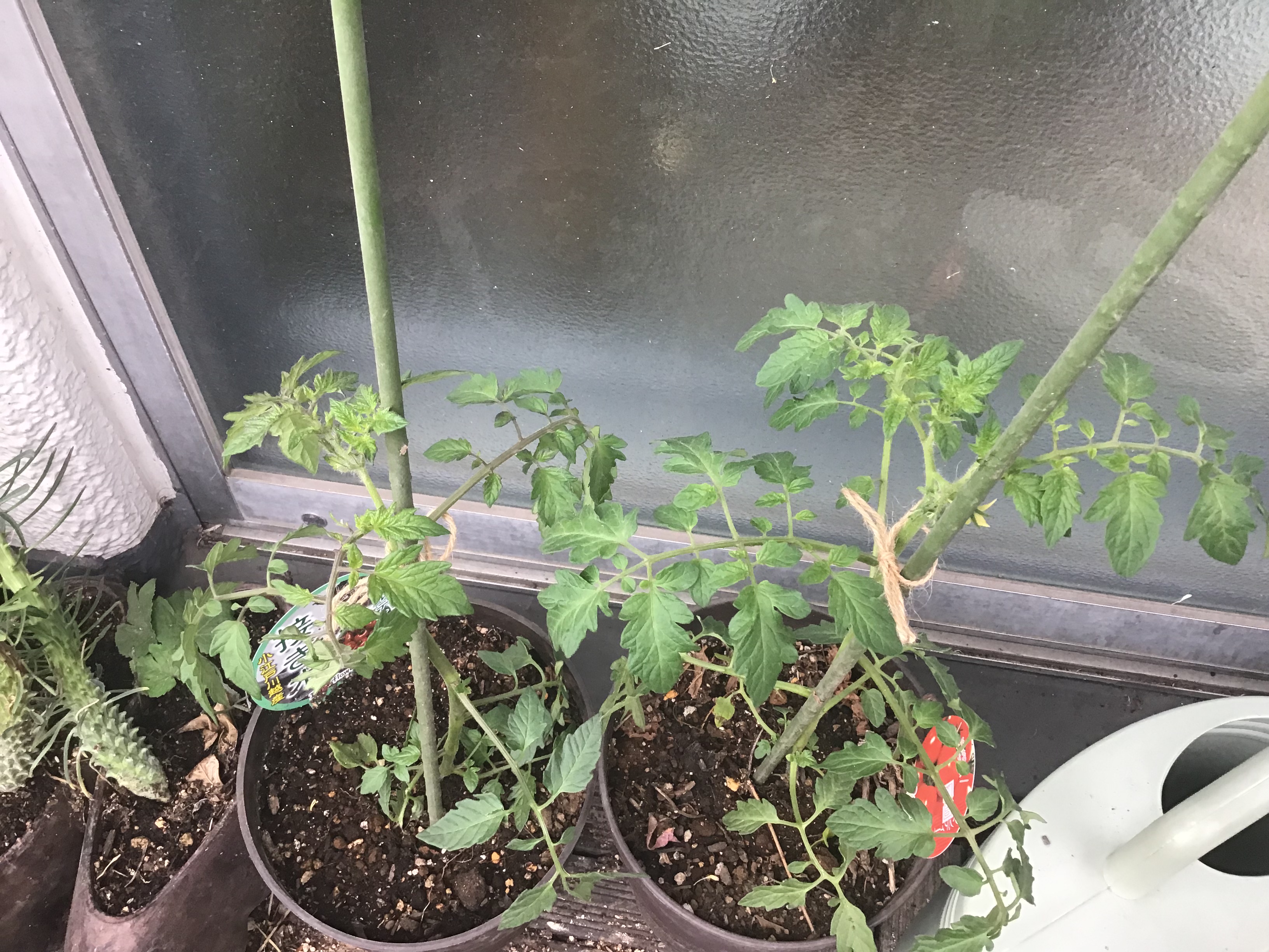 760ca6c9-c812-4f67-8af8-b6f6abf2d4b3