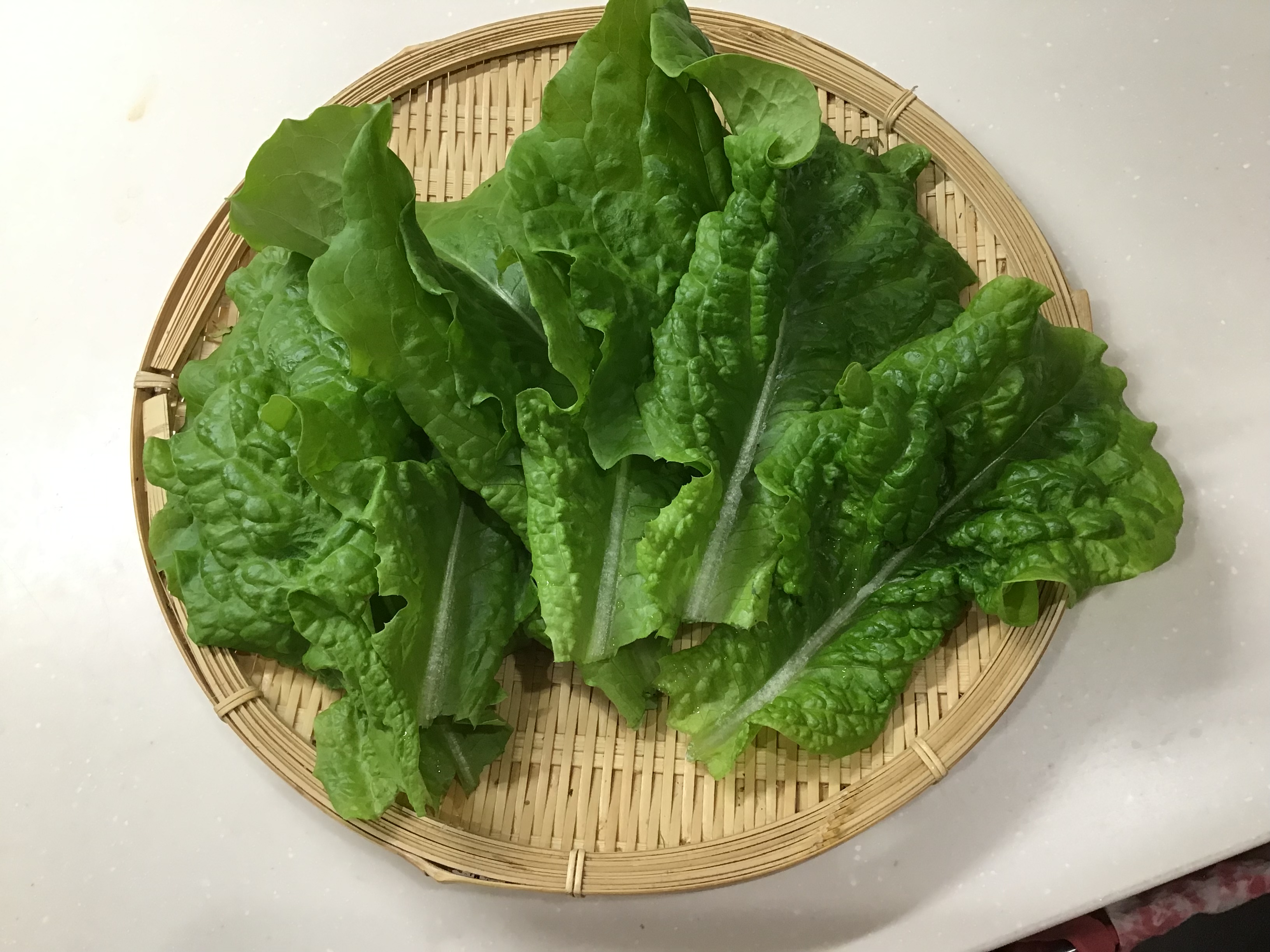 a056078b-ee0f-4ff8-8e63-7821f7f26f62